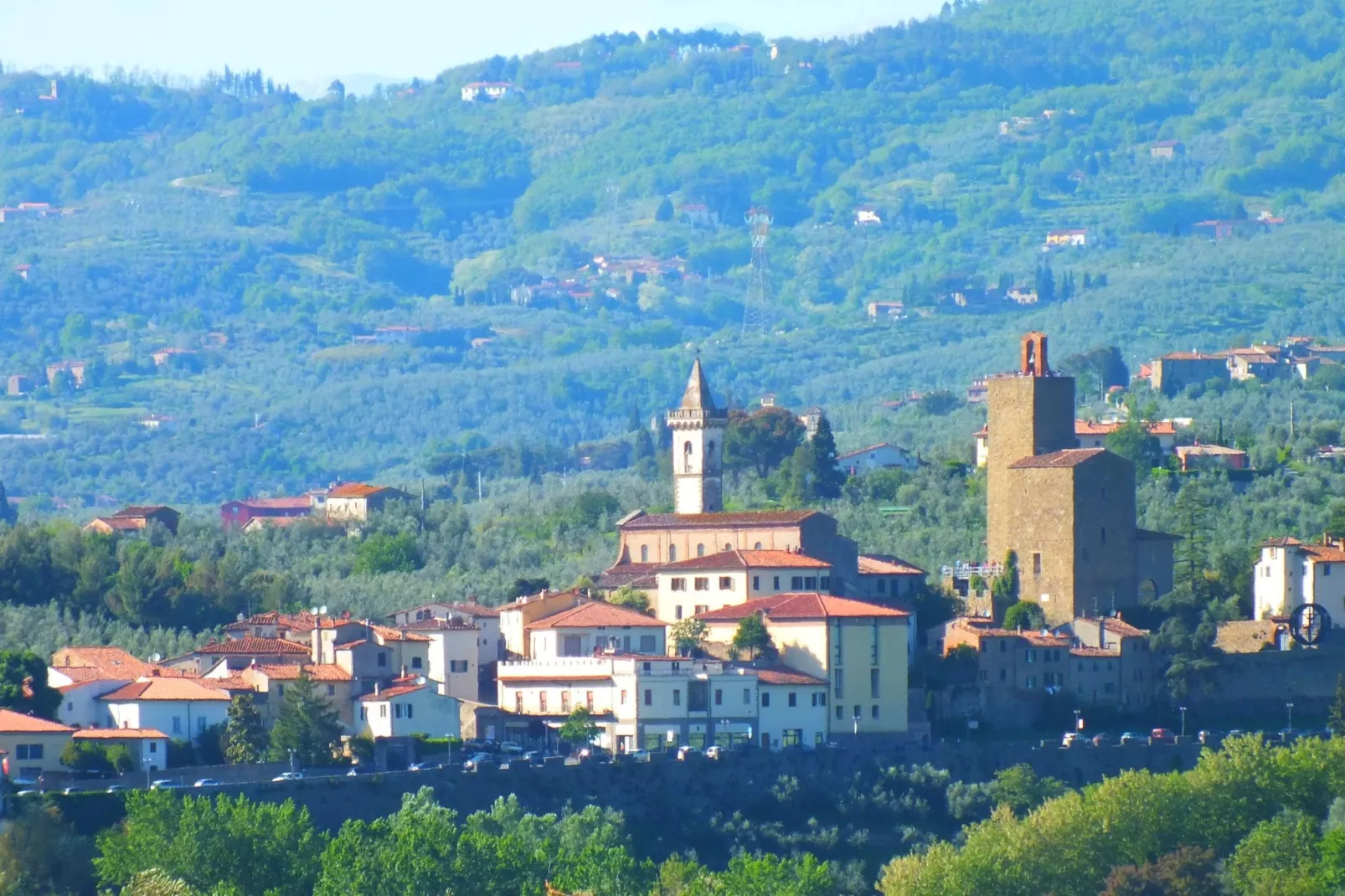 Leonardo-Areas within 5km in summer