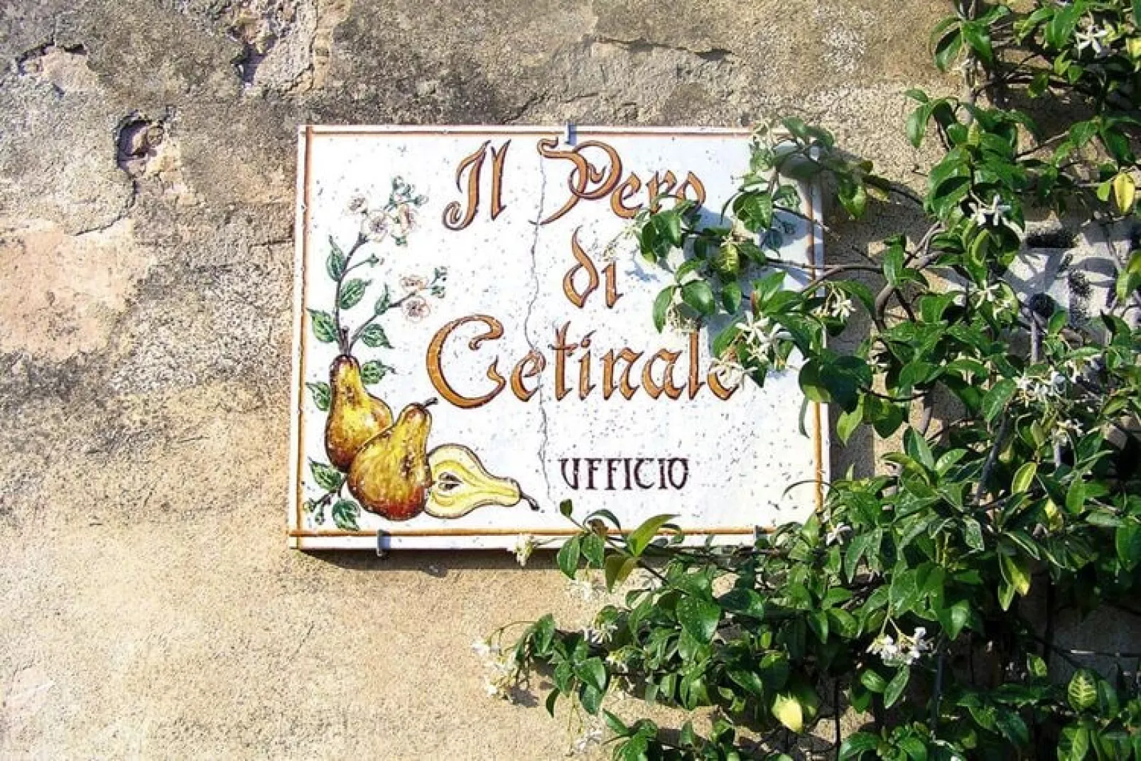 Residence Il Pero di Cetinale Sovicille Typ C 105 qm-Exterior summer