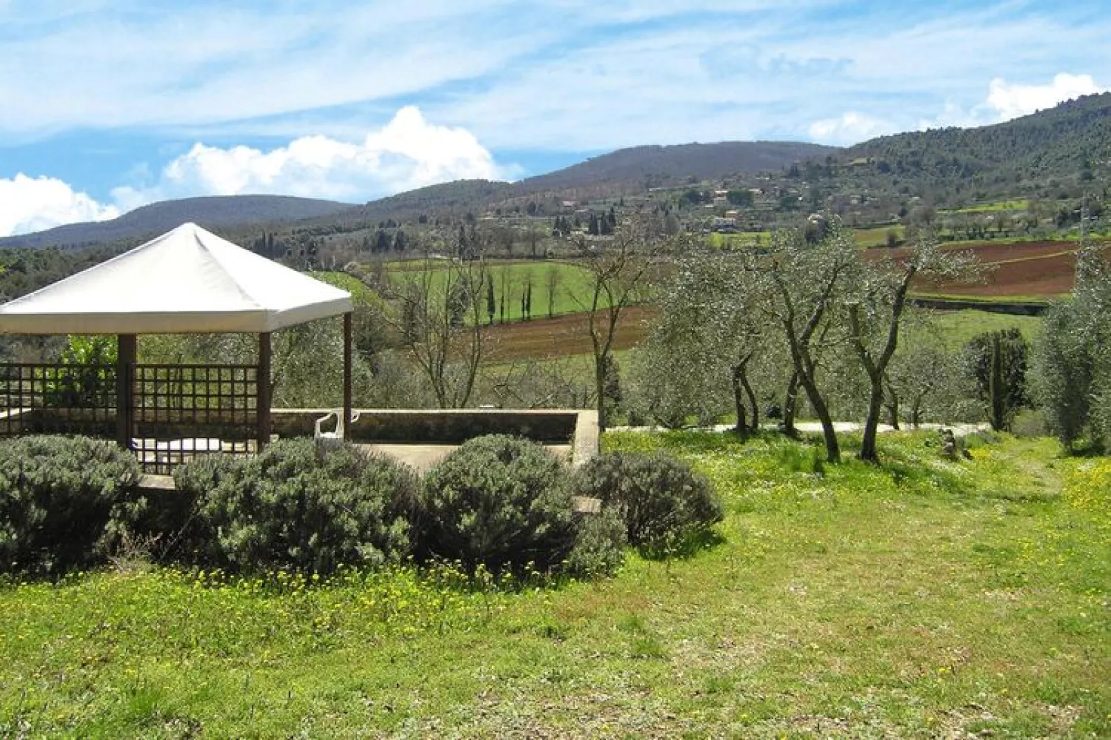 Residence Il Pero di Cetinale Sovicille Typ C 105 qm-Exterior summer