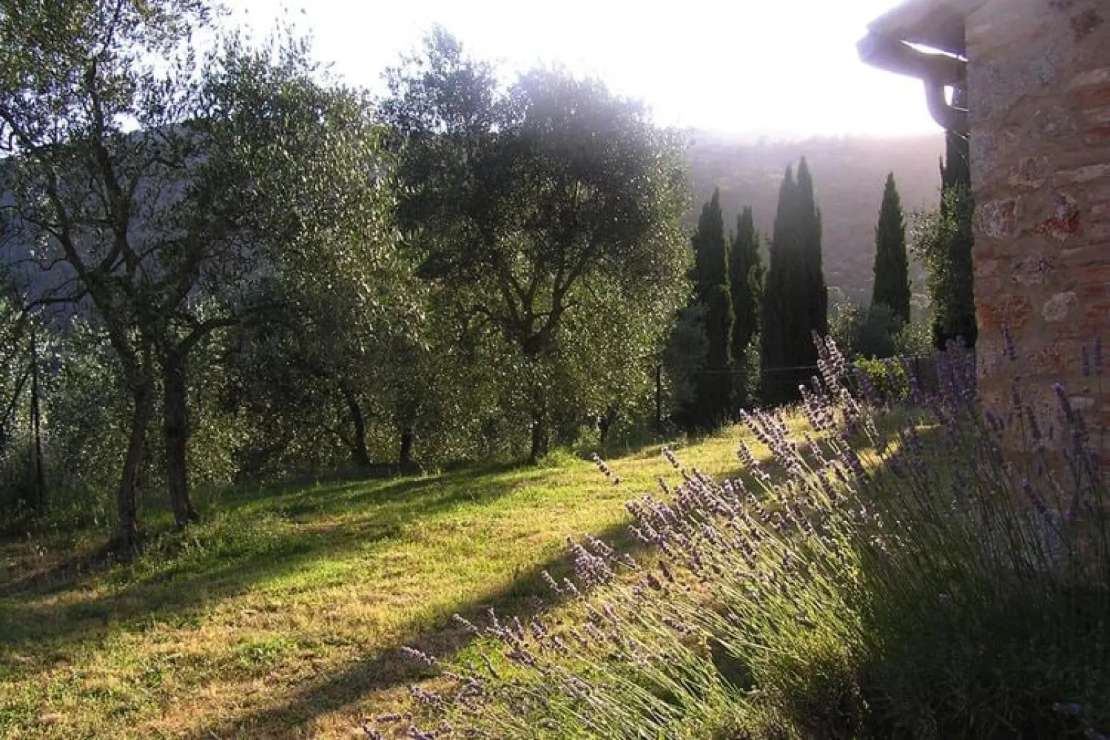 Residence Il Pero di Cetinale Sovicille Typ C 105 qm-Exterior summer