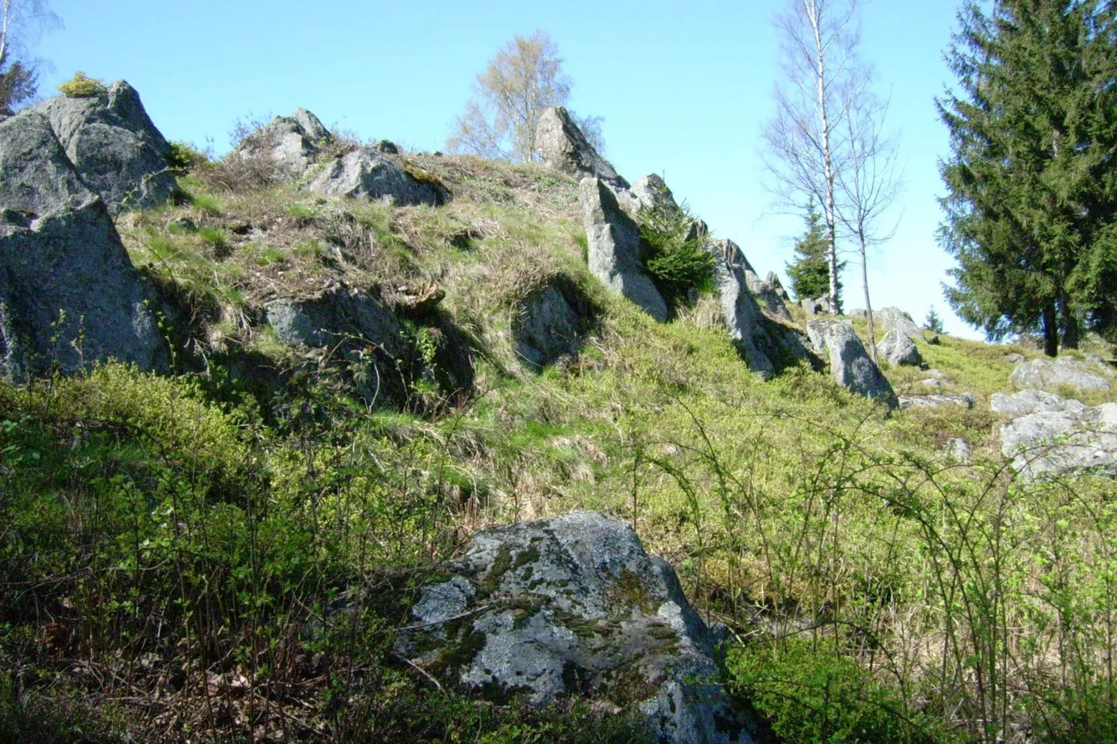 Am Hochfels-Areas summer 5km