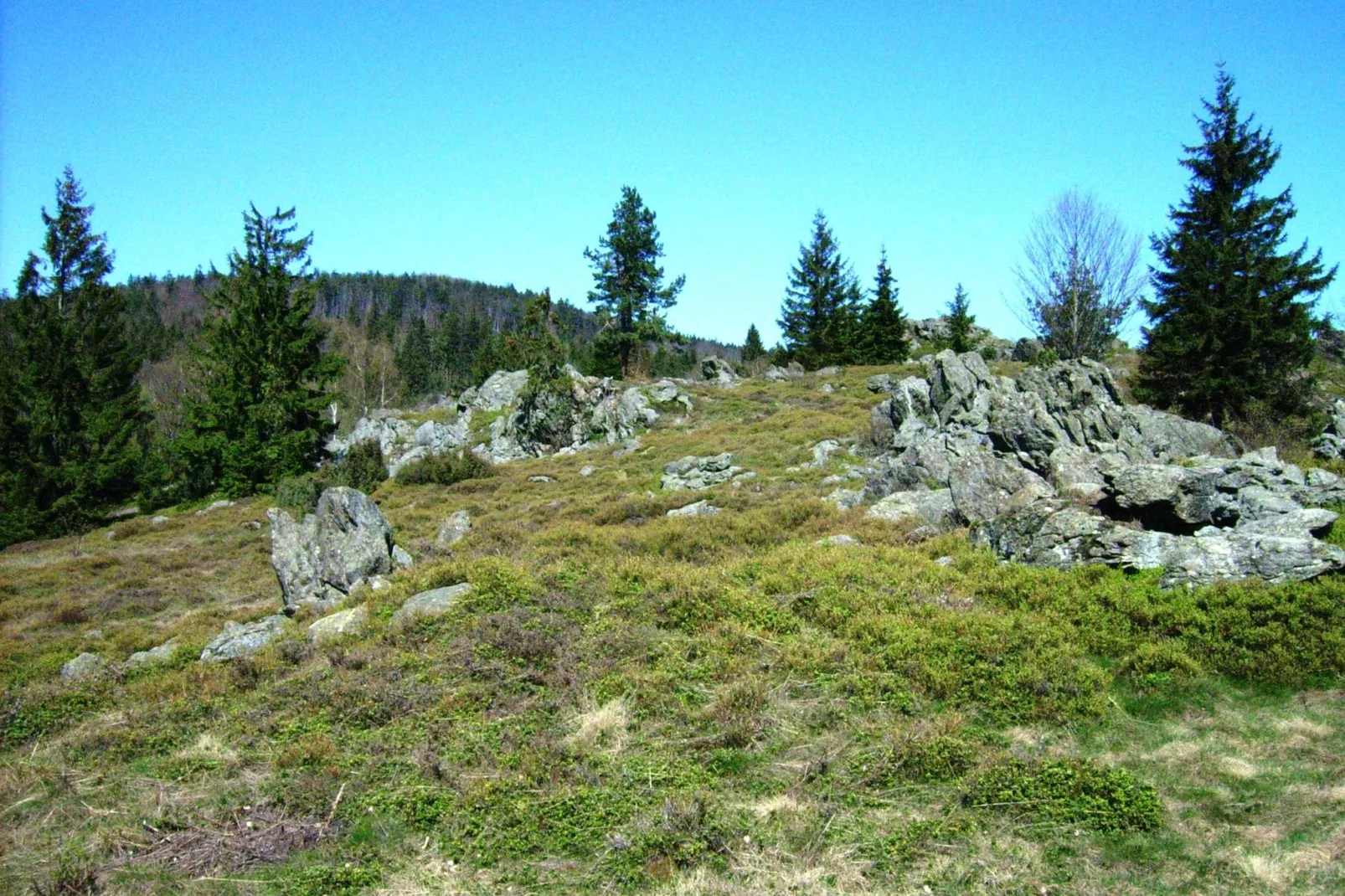 Am Hochfels-Areas summer 5km