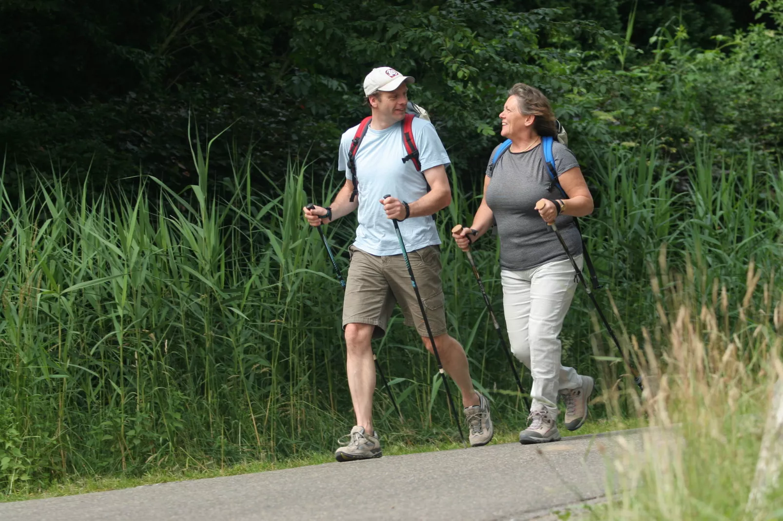 De Riethorst 1-Areas summer 1km