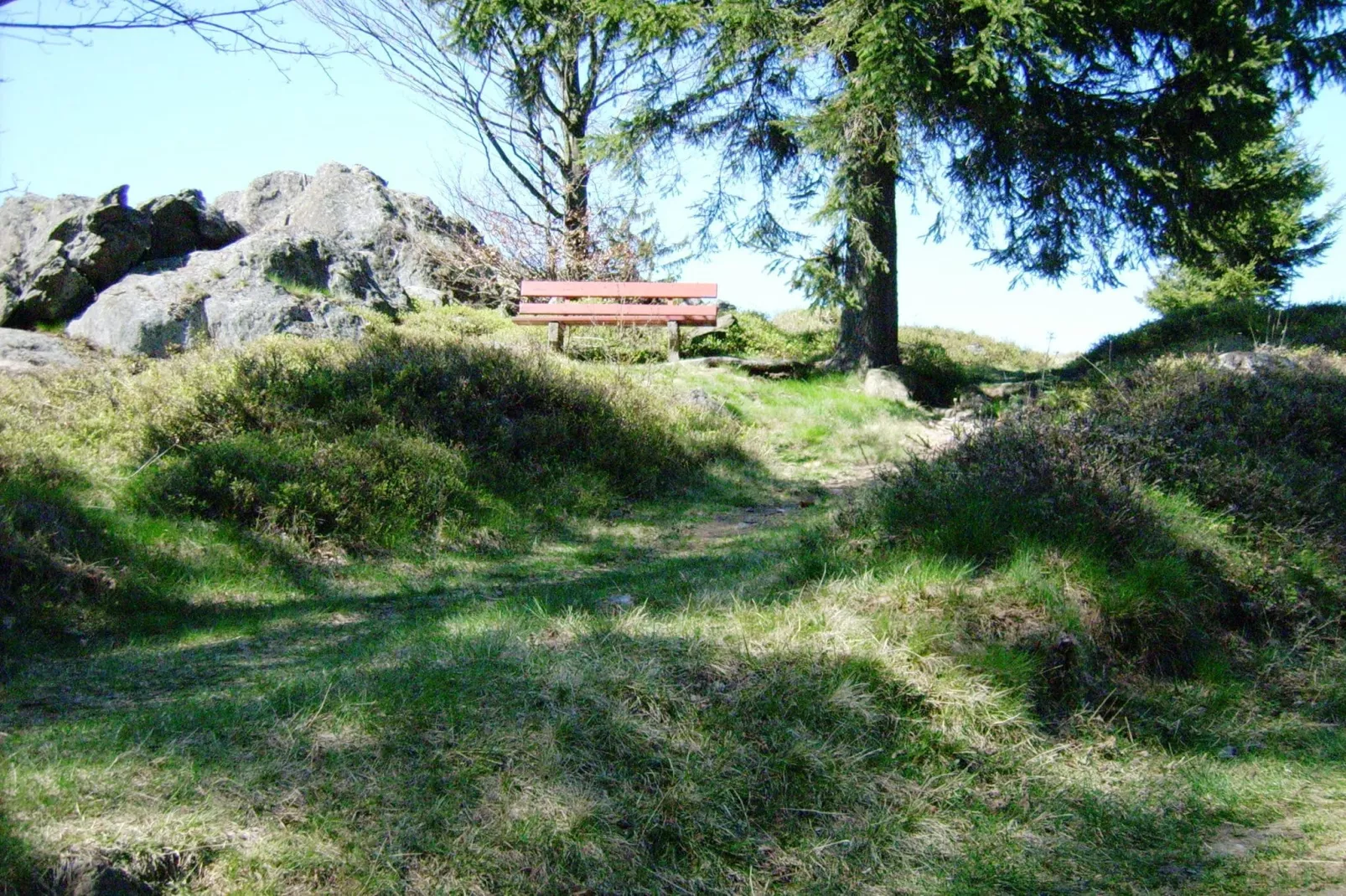 Am Hochfels-Areas summer 5km