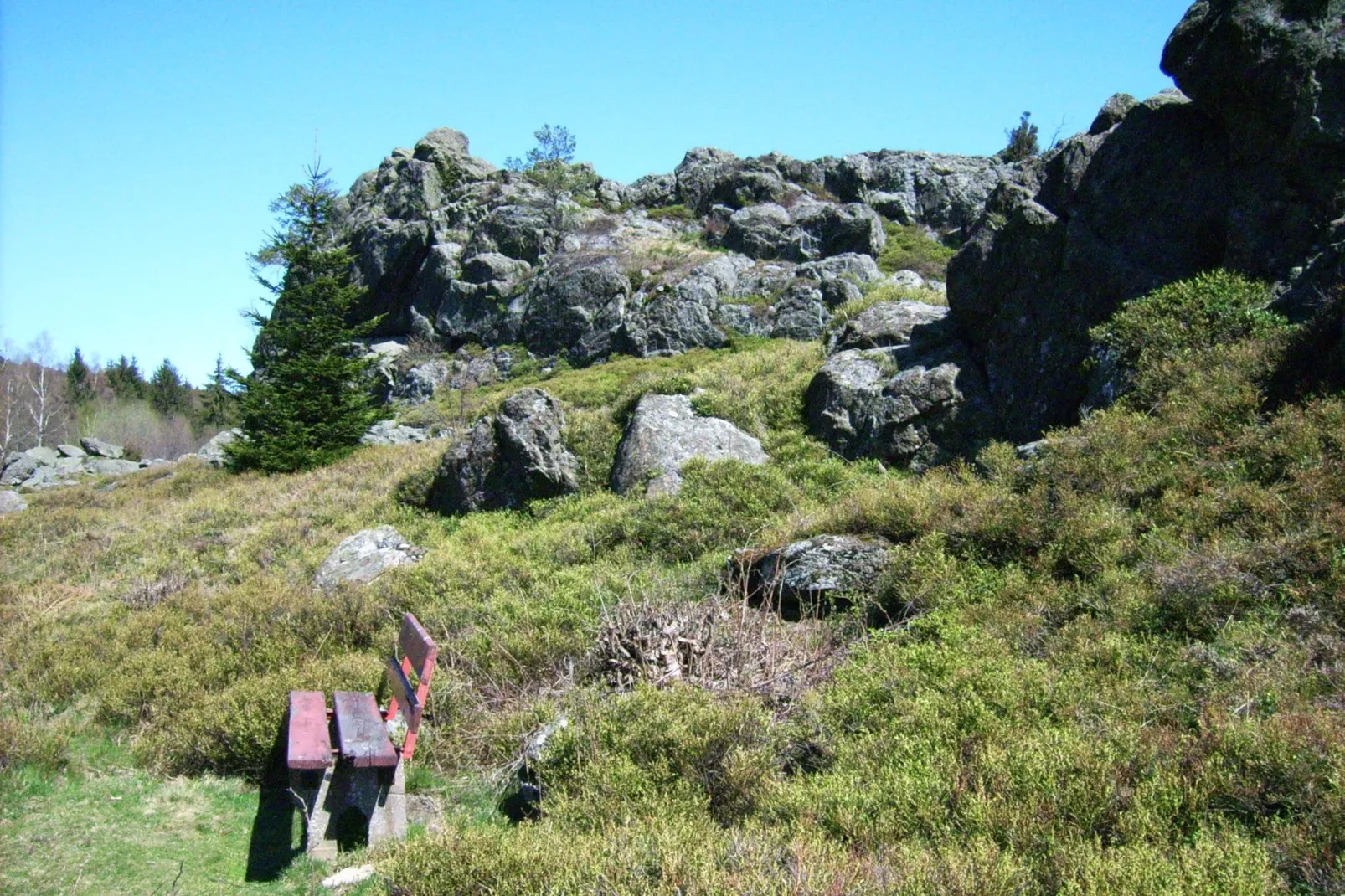 Am Hochfels-Areas summer 5km