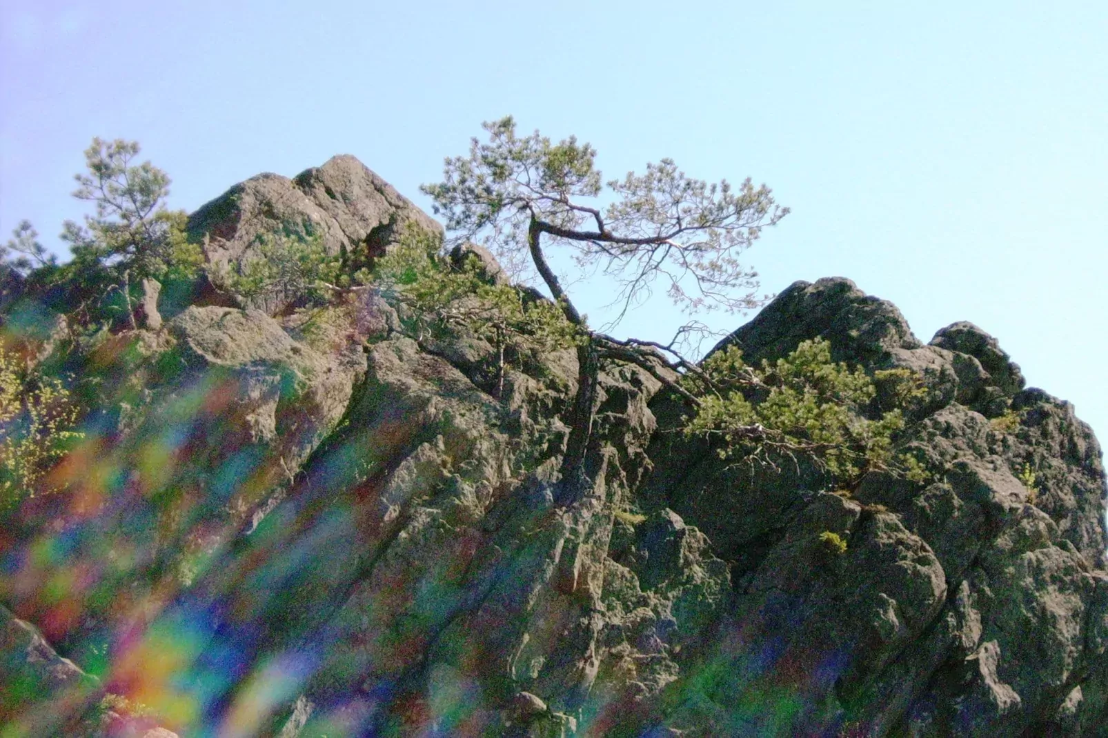 Am Hochfels-Areas summer 5km