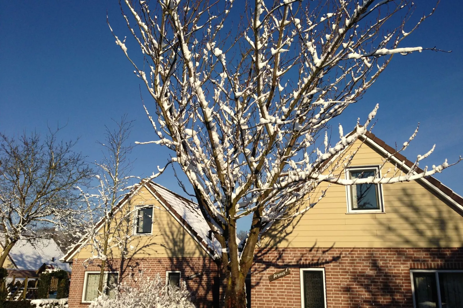 De Riethorst 1-Exterior winter