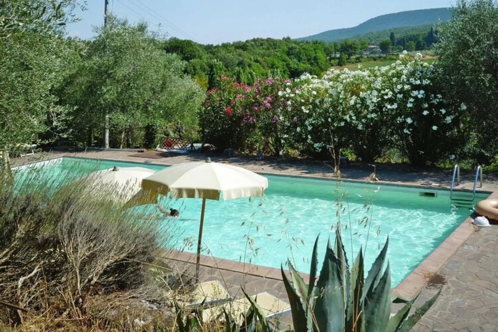 Residence Il Pero di Cetinale Sovicille Typ C 105 qm