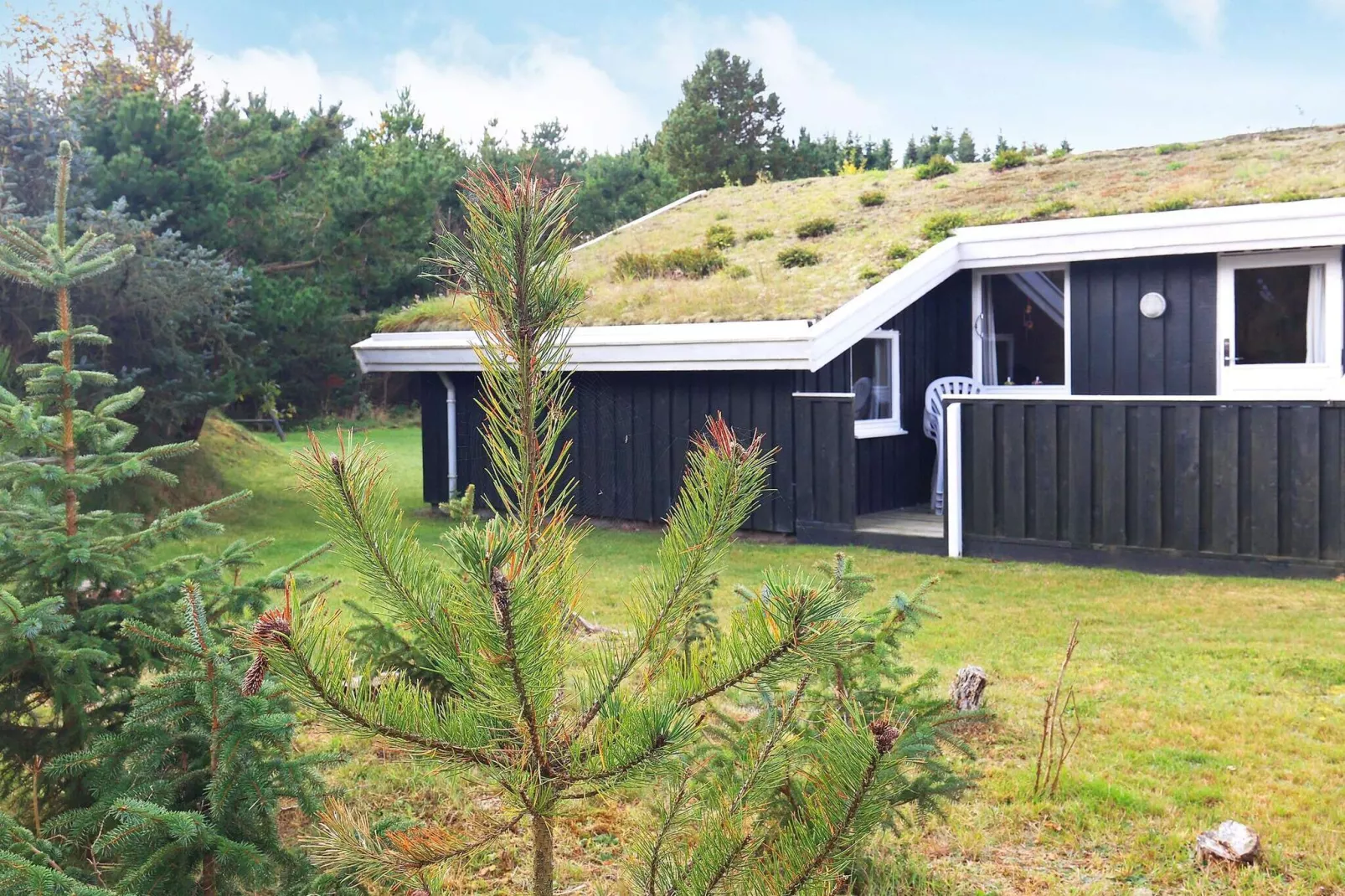 Cozy Cottage near Blokhus - By Traum Ferienwohnungen-View