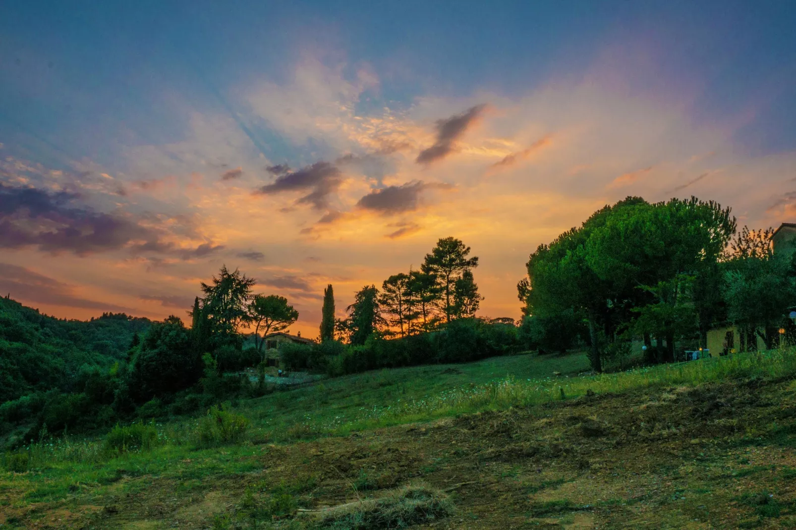 Frantoio-Areas summer 1km