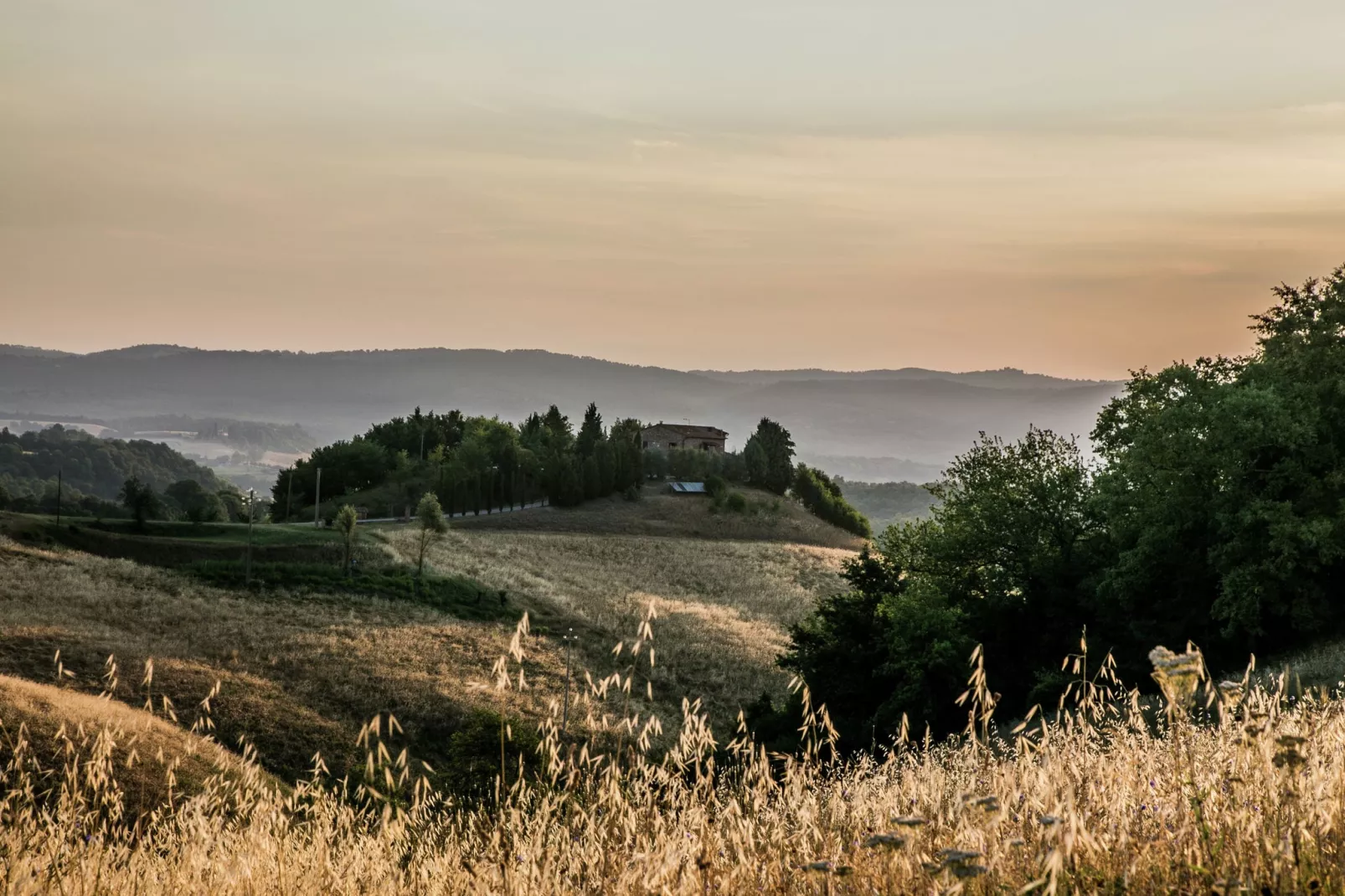 Frantoio-Areas summer 20km