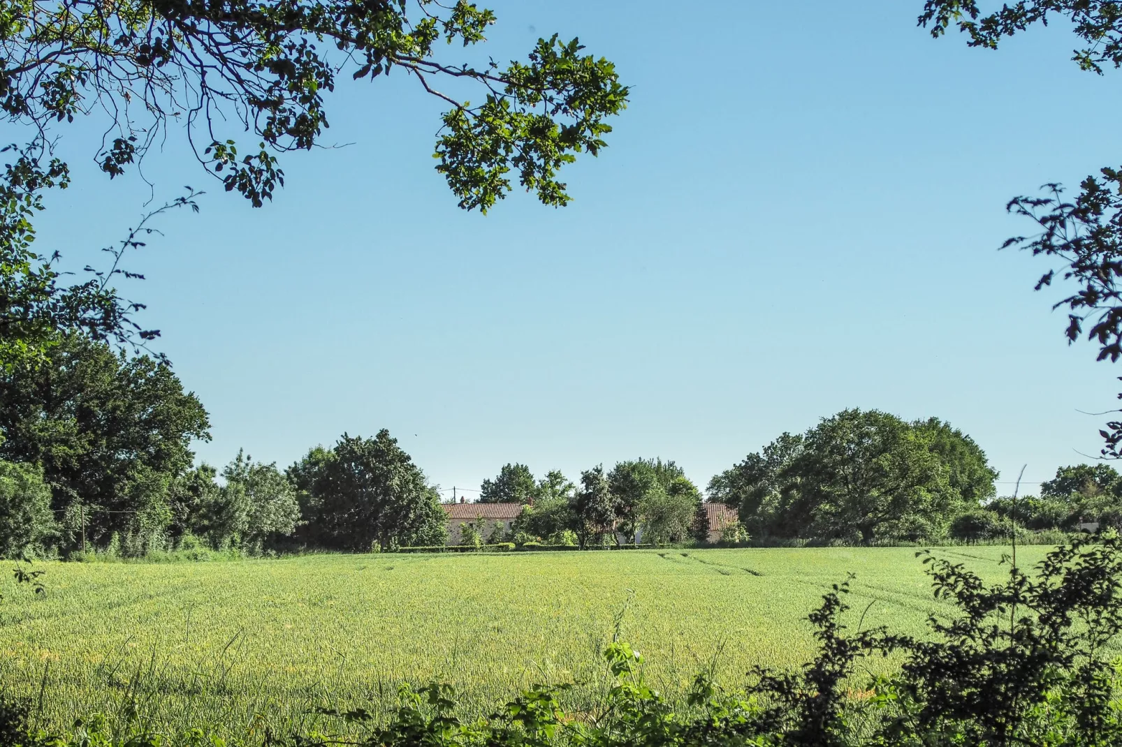 L'Orangerie-Gebiete Sommer 5 km