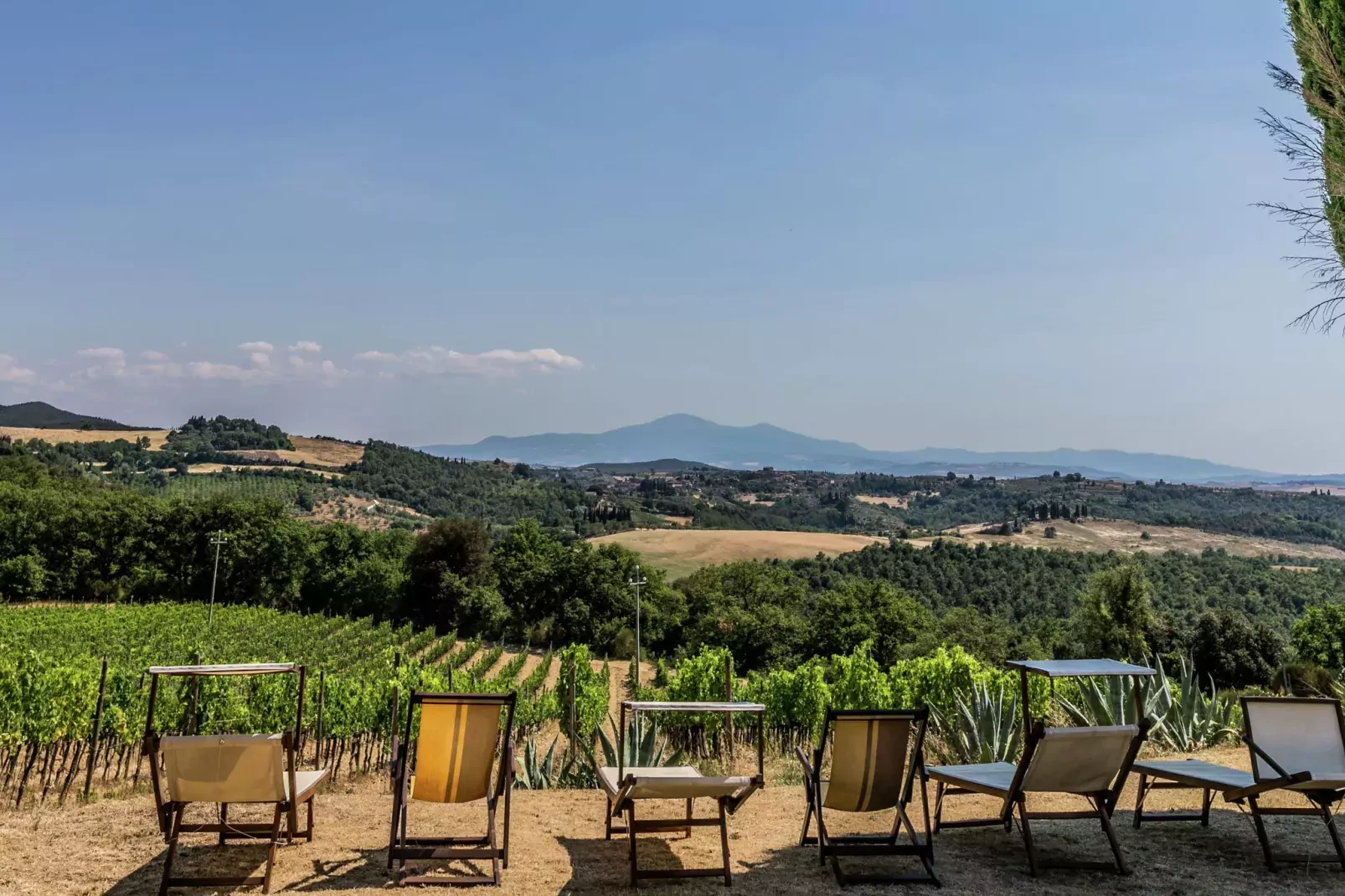 Villa Sangiovese-Jardin d'été