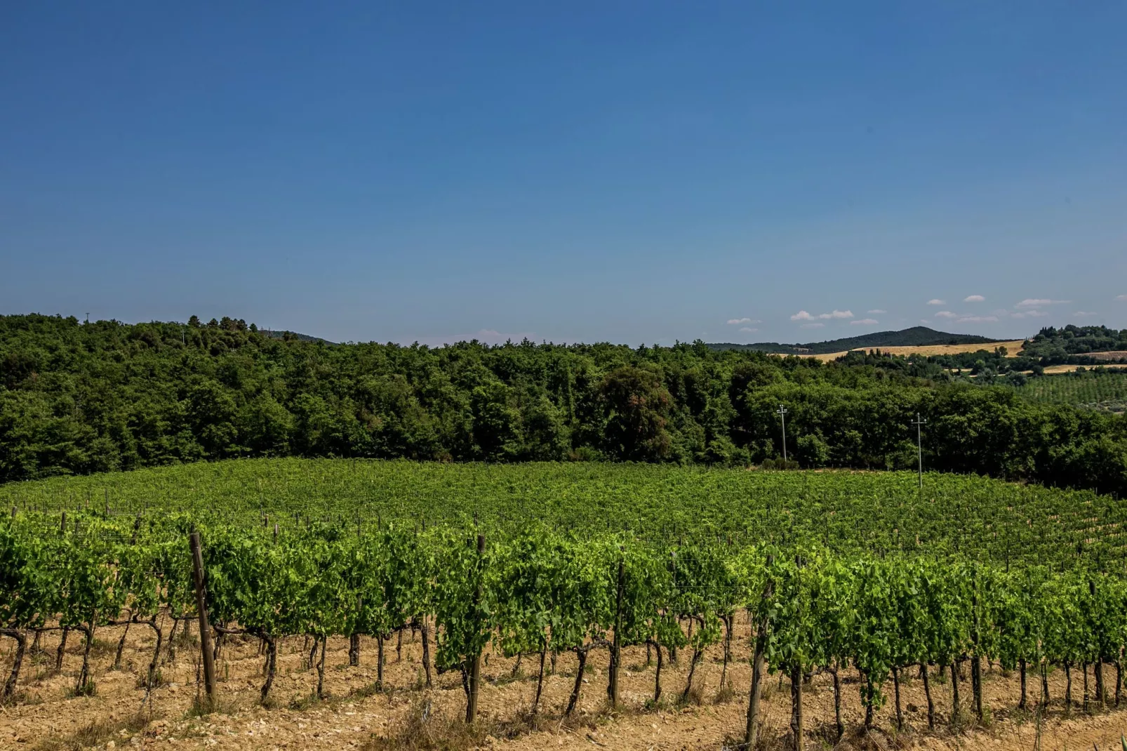 Villa Sangiovese-Vue d'été