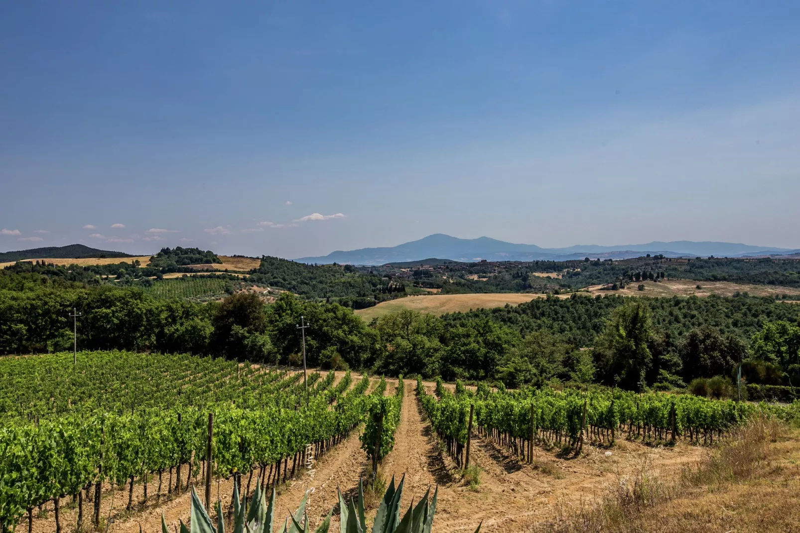 Villa Sangiovese-Vue d'été