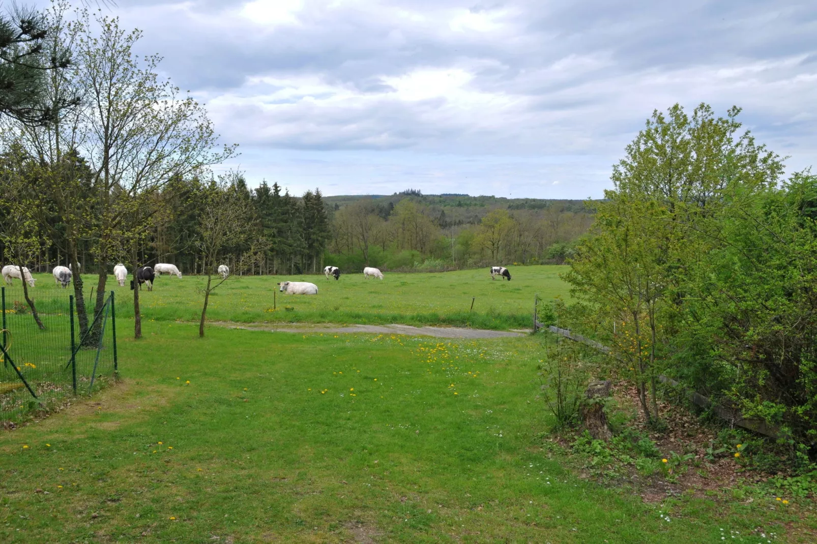 Au Nid d'Houyet-Aussicht Sommer