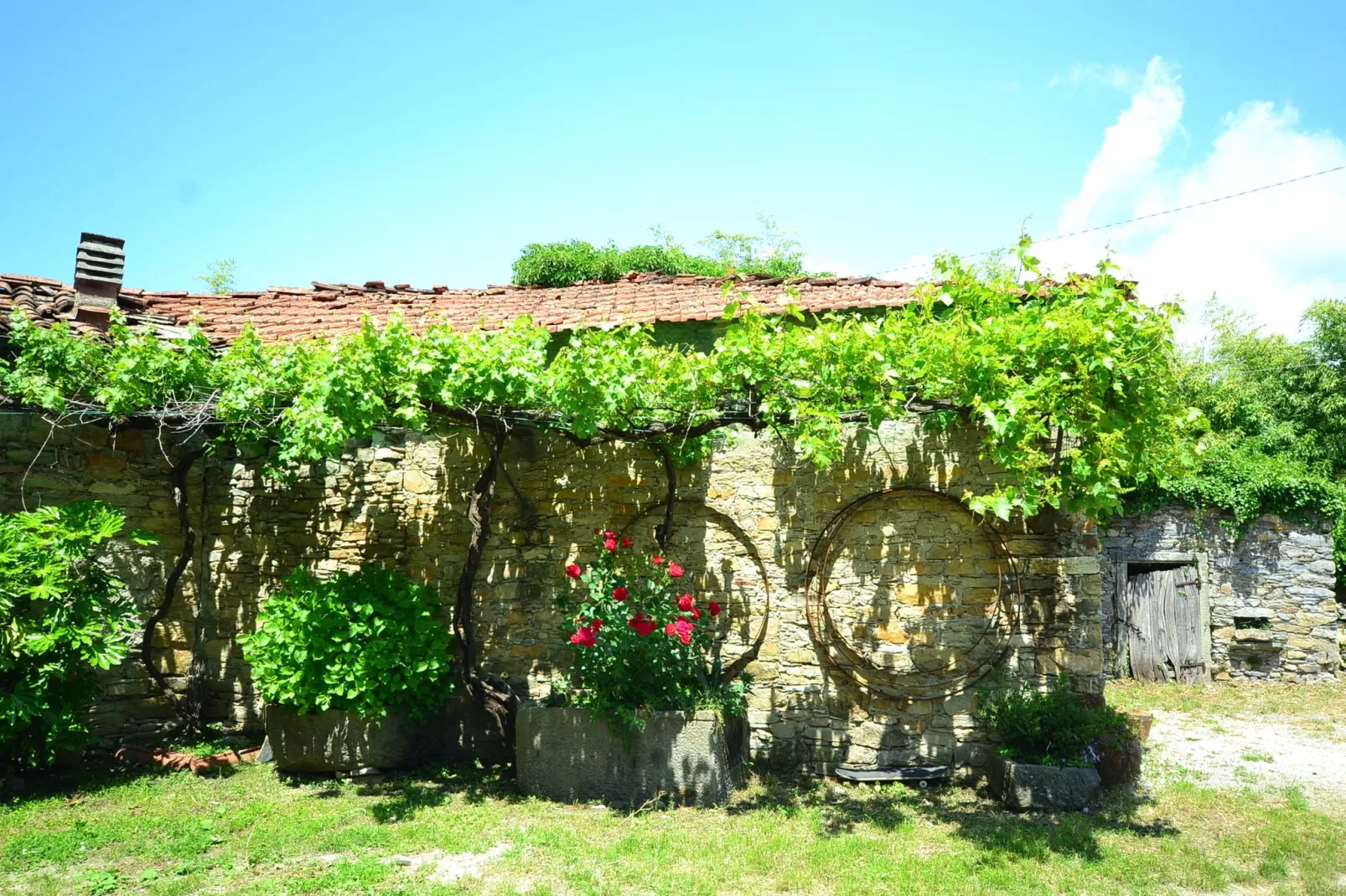 Casa Mazzola-Jardin d'été