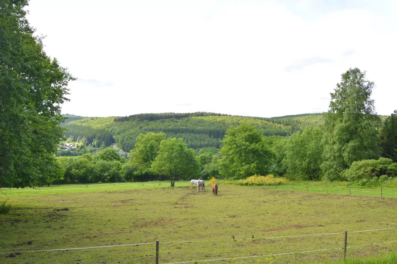 Chalet de la Vallée-View summer