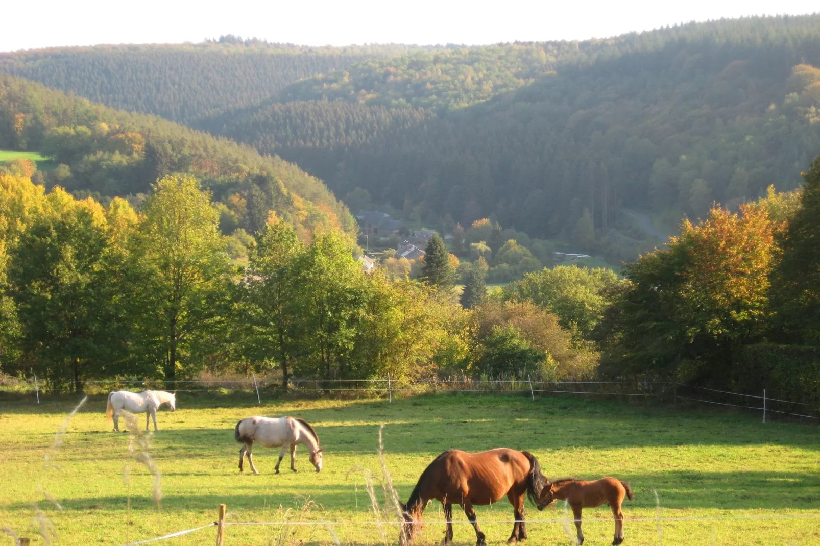 Chalet de la Vallée-Areas summer 1km