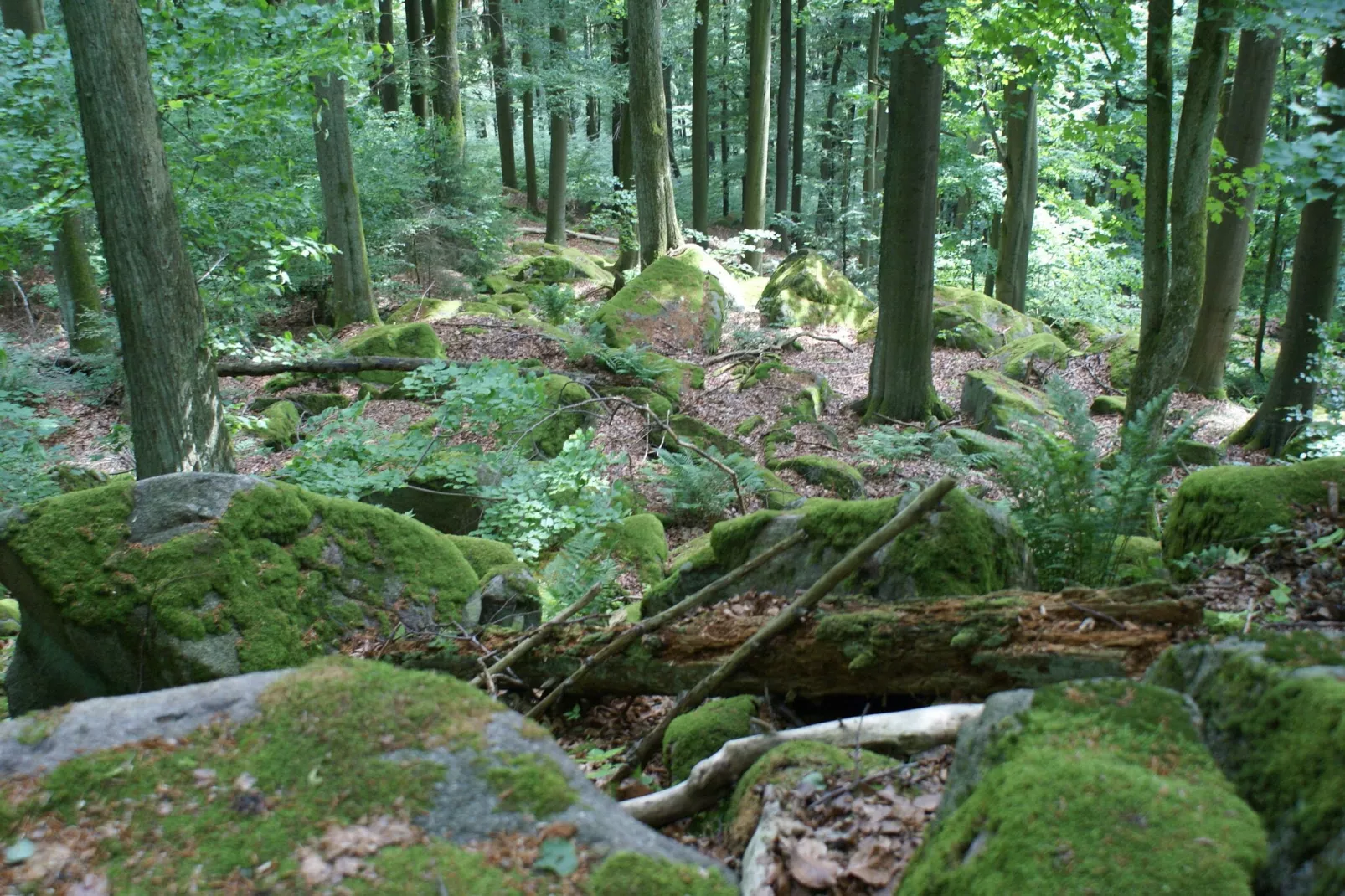 Ferienhaus Bavaria-Areas summer 20km