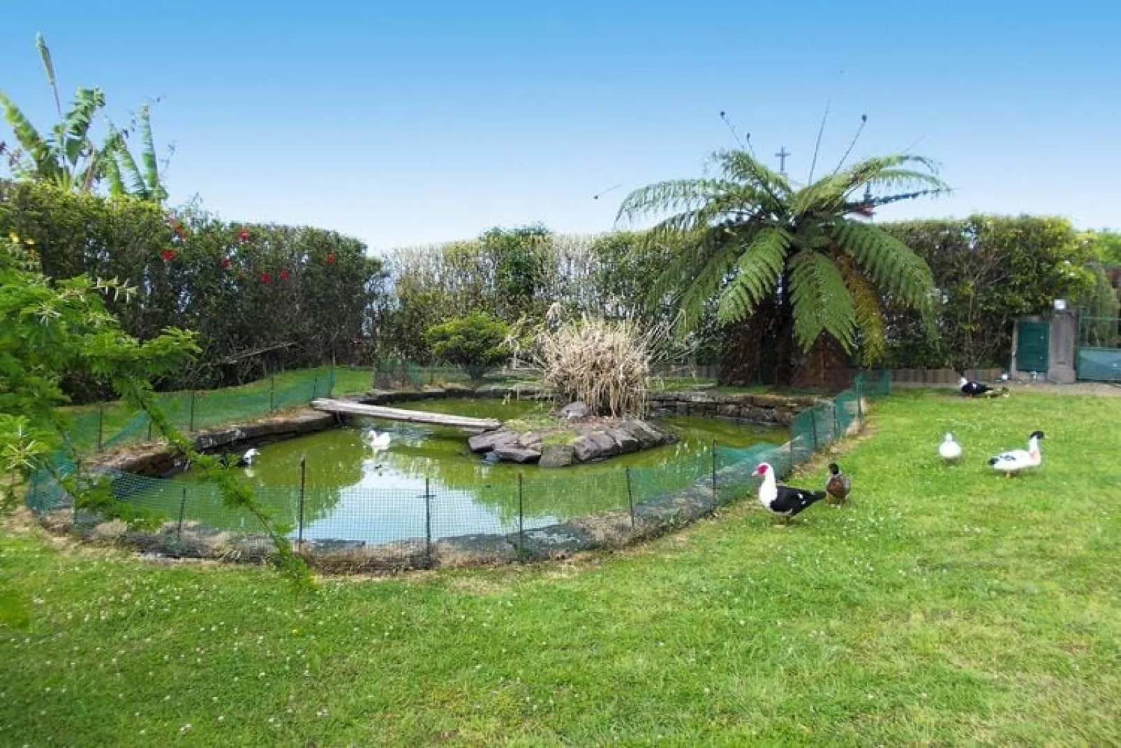 Holiday homes Quinta dos Curubás Vila Franca do Campo // Bungalow T1-Water view