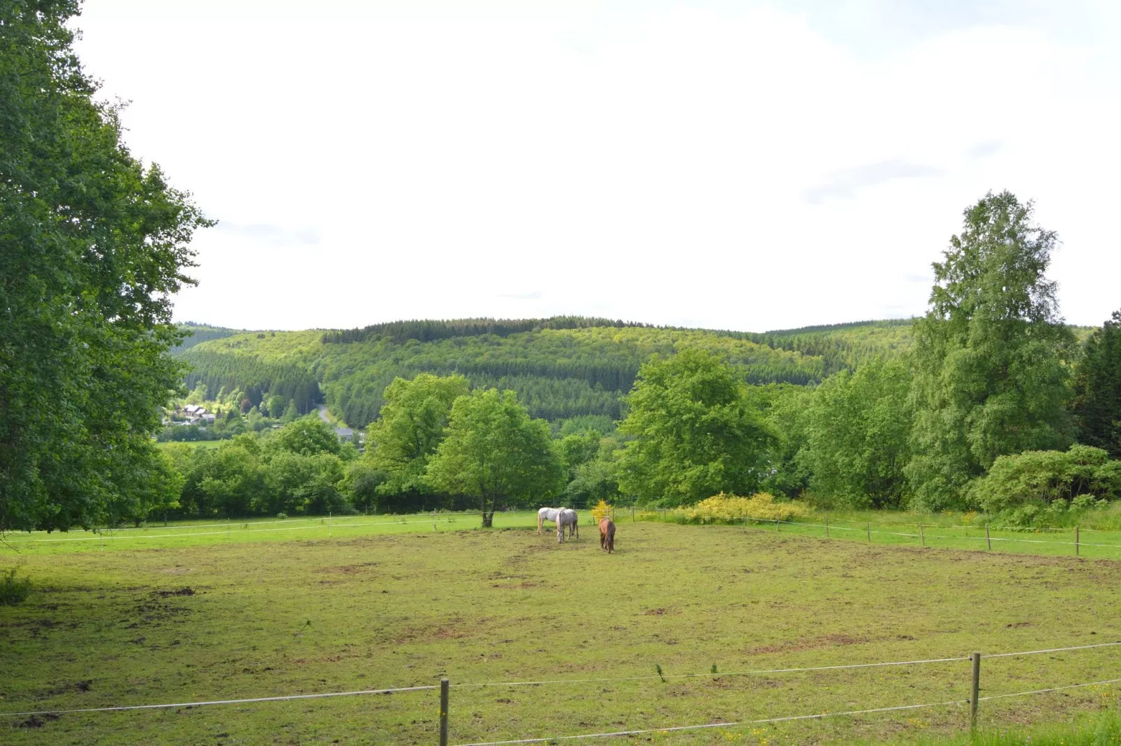Chantemerle-Areas summer 1km