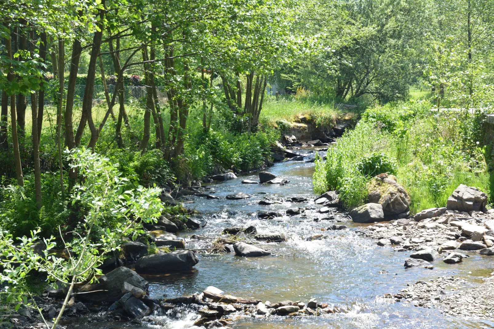 Gîte du Moulin-Gardens summer
