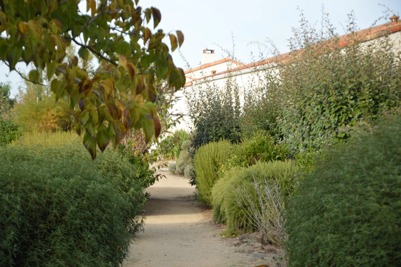 TALMONT-ST HILAIRE-Parkeinrichtungen