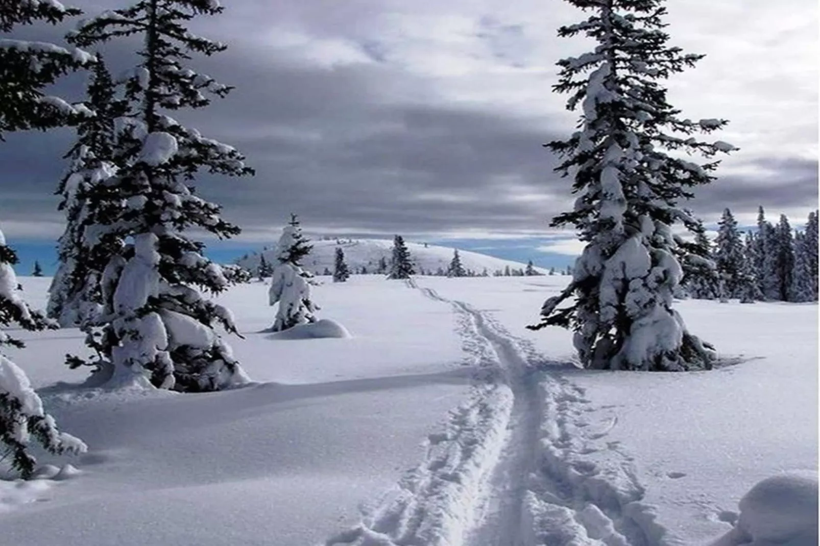 Alpendorf Dachstein West 3-Area winter 1km