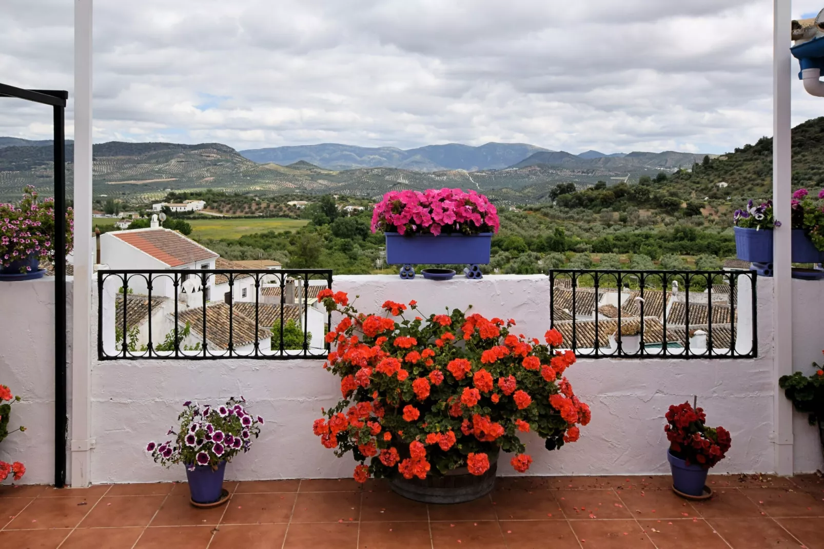 Carmela-View summer
