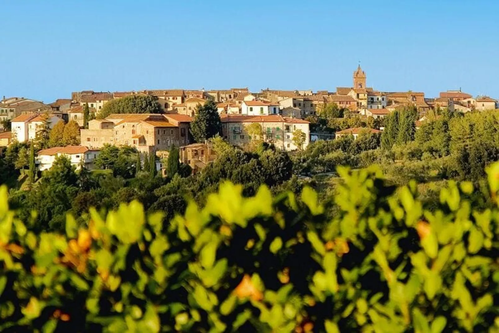 Agri-tourism La Scopa, Montaione-Rondine, Cardellino, Allodola-Exterior summer