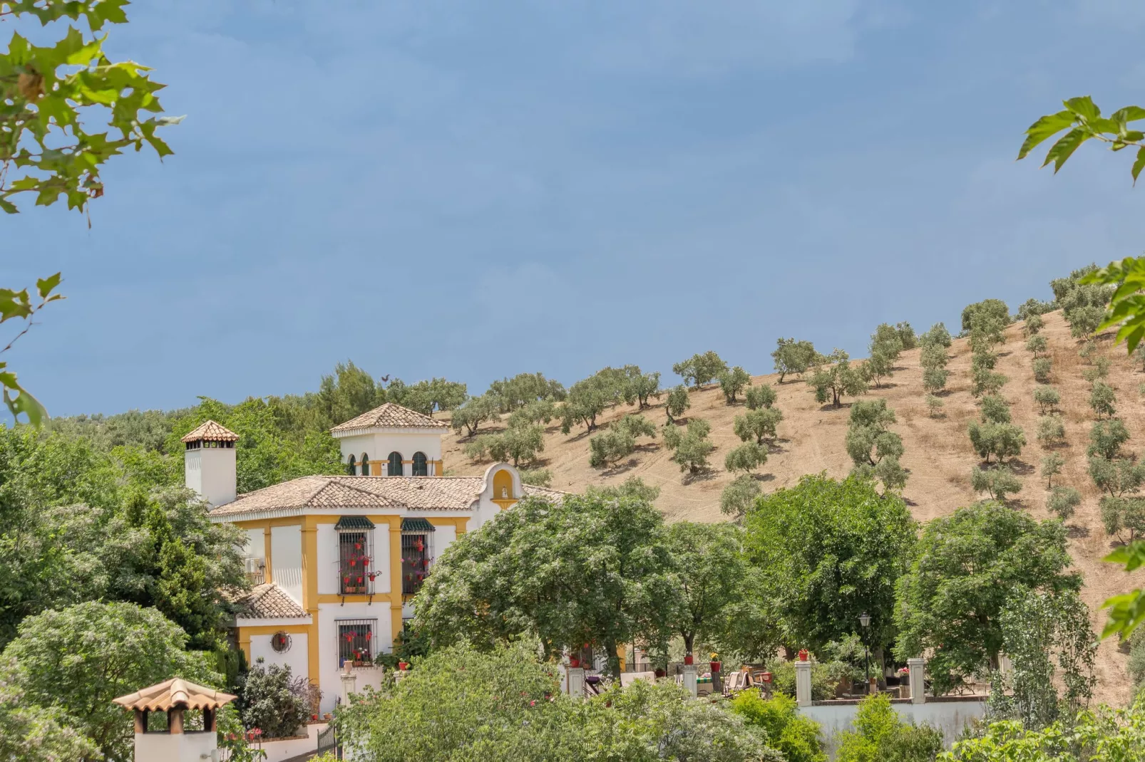 Cortijo La Mimbre-Exterior summer