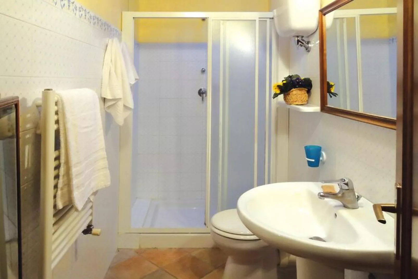 Agri-tourism La Scopa, Montaione-Rondine, Cardellino, Allodola-Bathroom