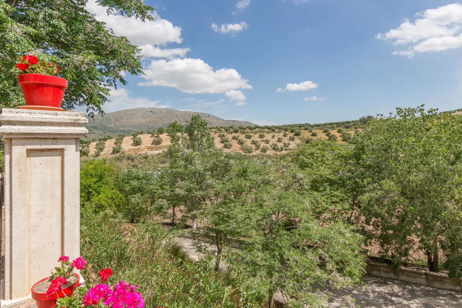 Cortijo La Mimbre-View summer