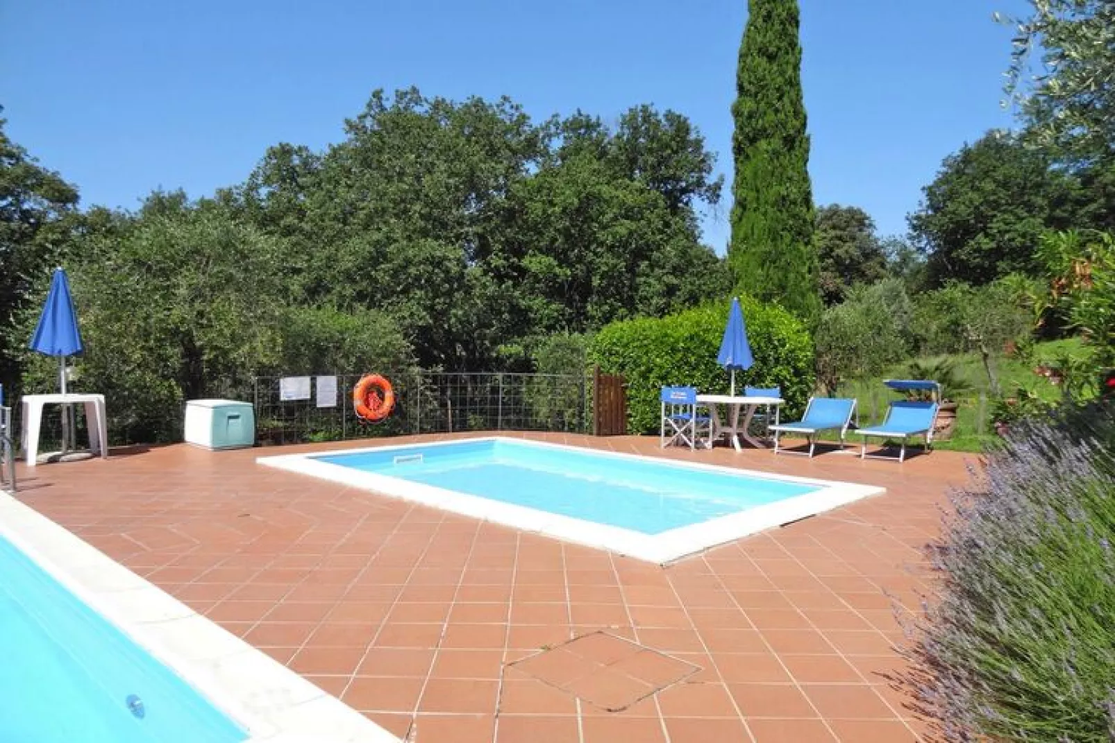Agri-tourism La Scopa, Montaione-Rondine, Cardellino, Allodola-Pool