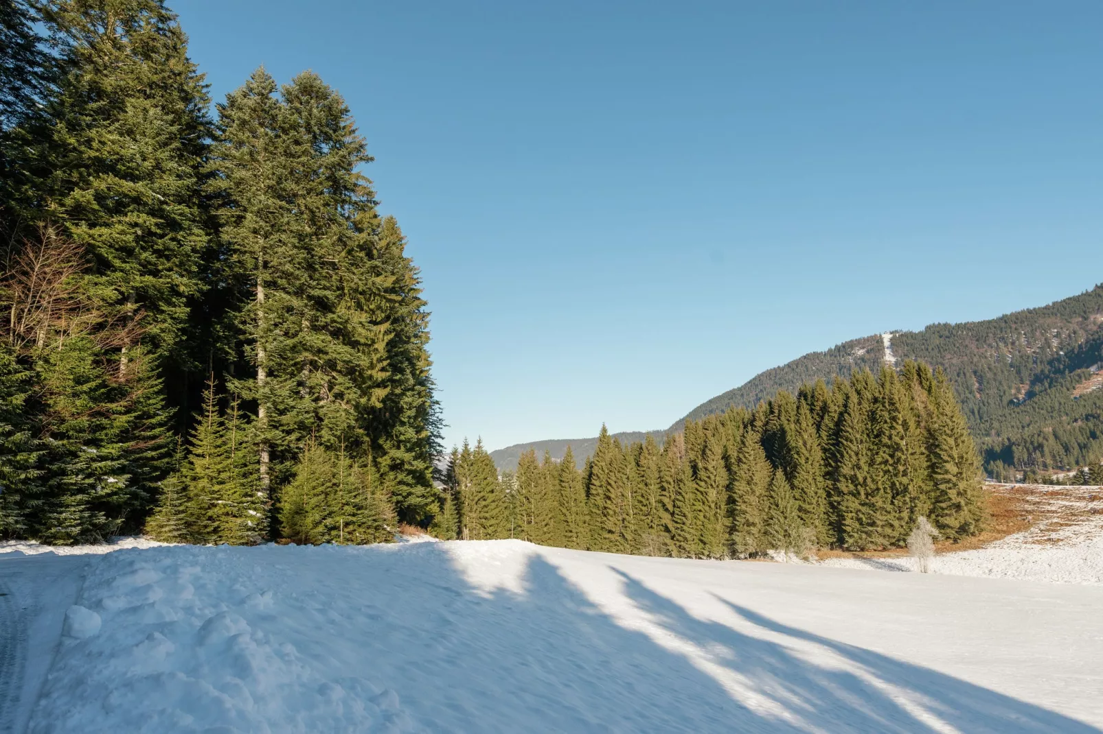 Alpendorf Dachstein West 4-Area winter 1km