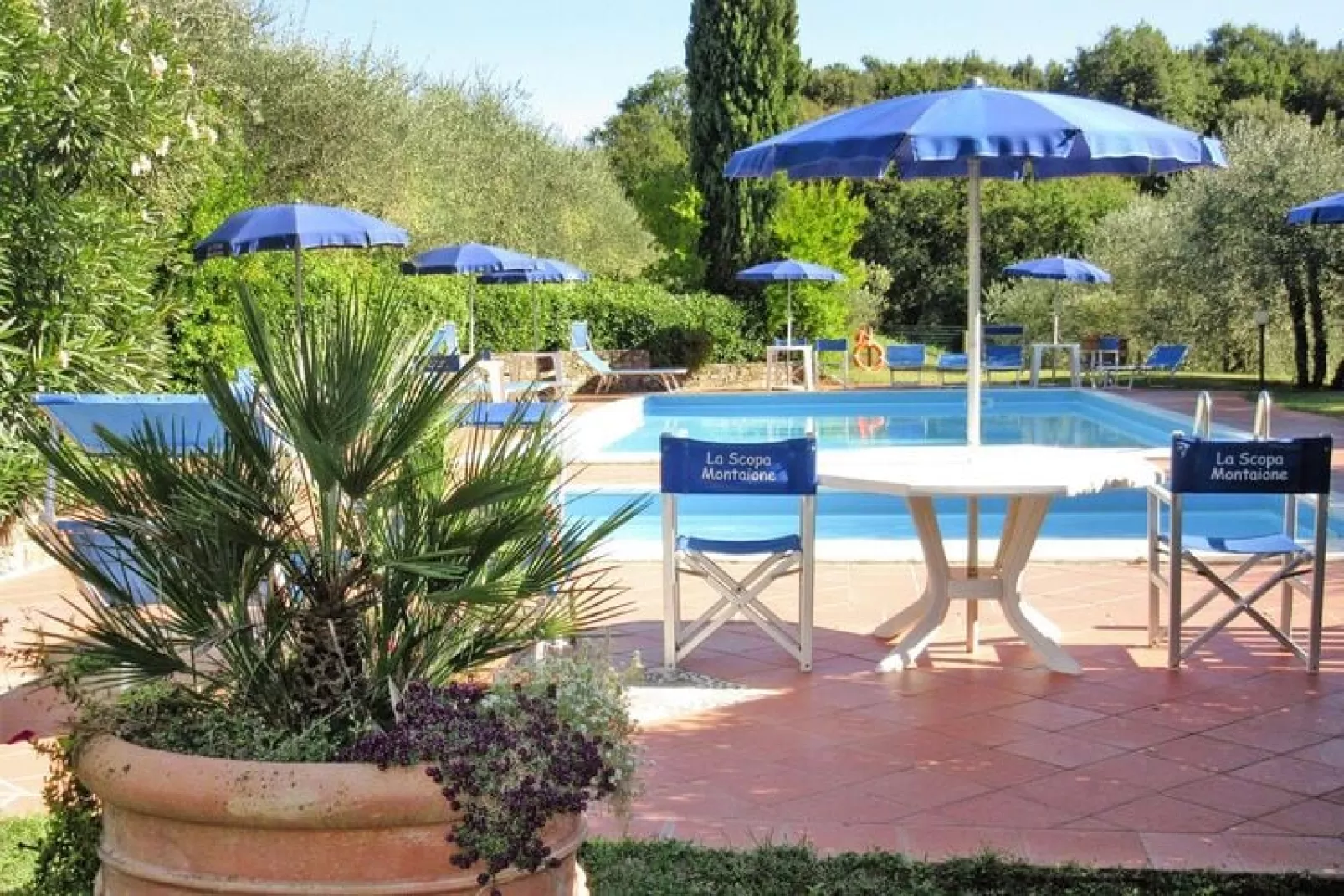 Agri-tourism La Scopa, Montaione-Rondine, Cardellino, Allodola-Pool