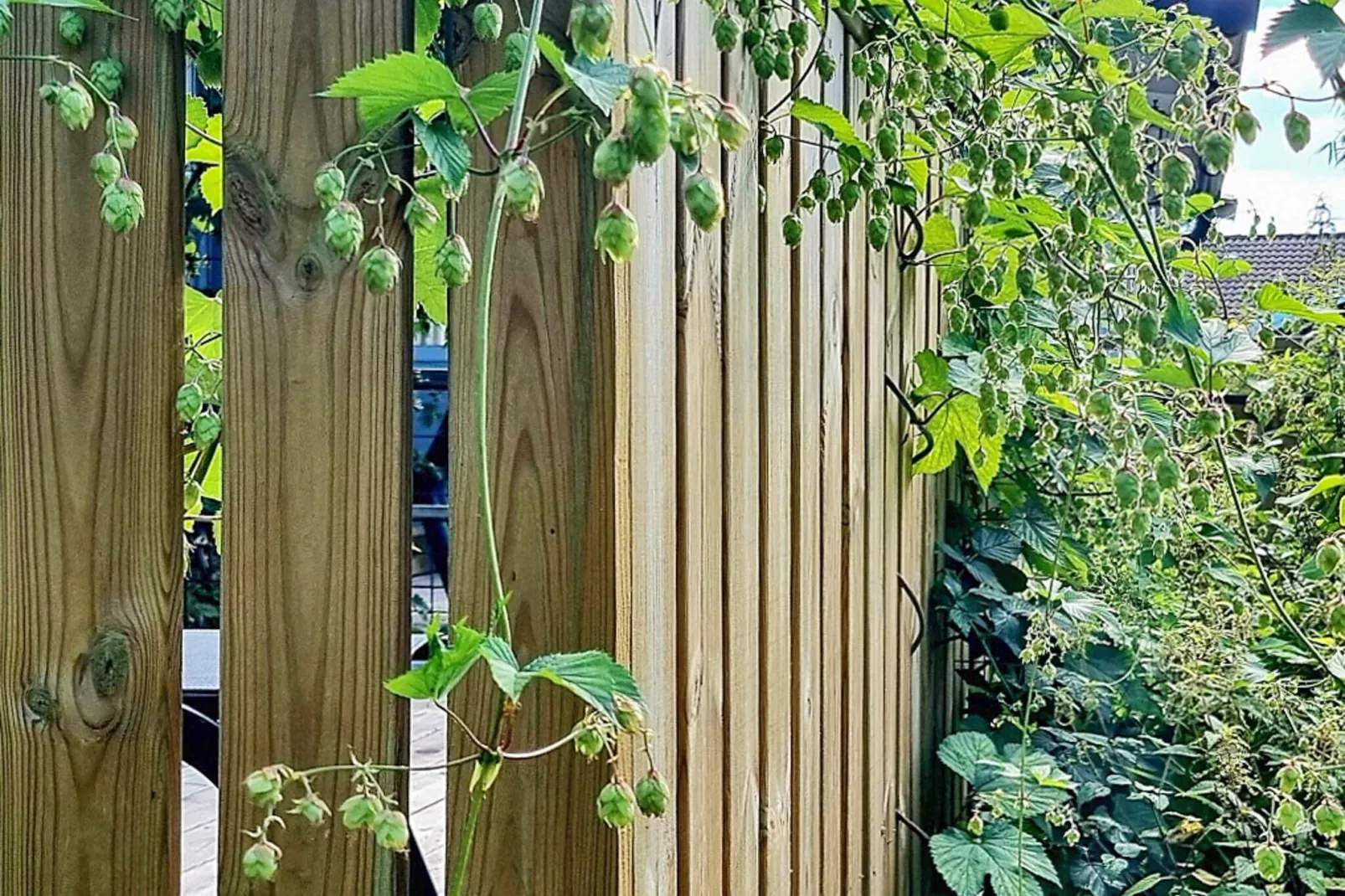 4 Personen Ferienhaus in UDDEVALLA-By Traum-Im Freien