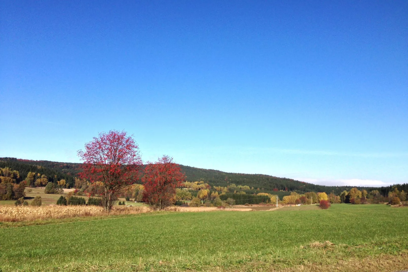 Morgensonne-Areas summer 5km