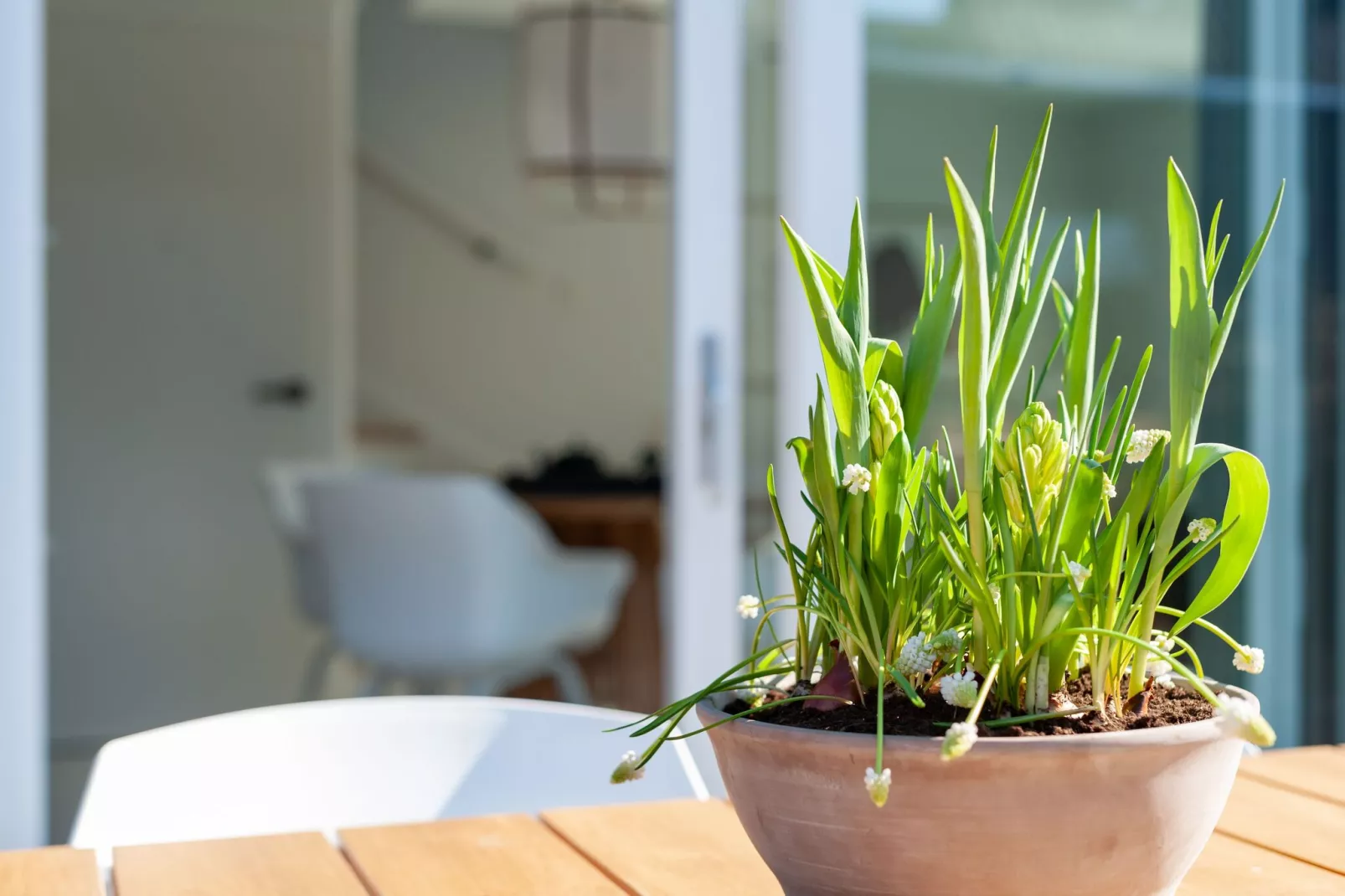 Slow living Guest House Oostkapelle-Ambiente