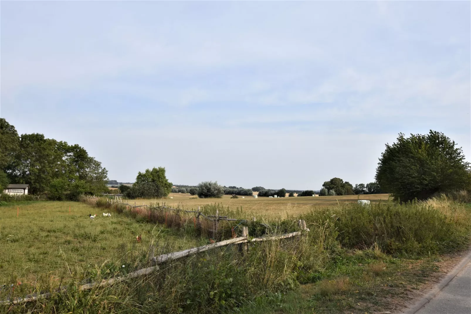 Ferienwohnung Landidyll am Salzhaff-View summer