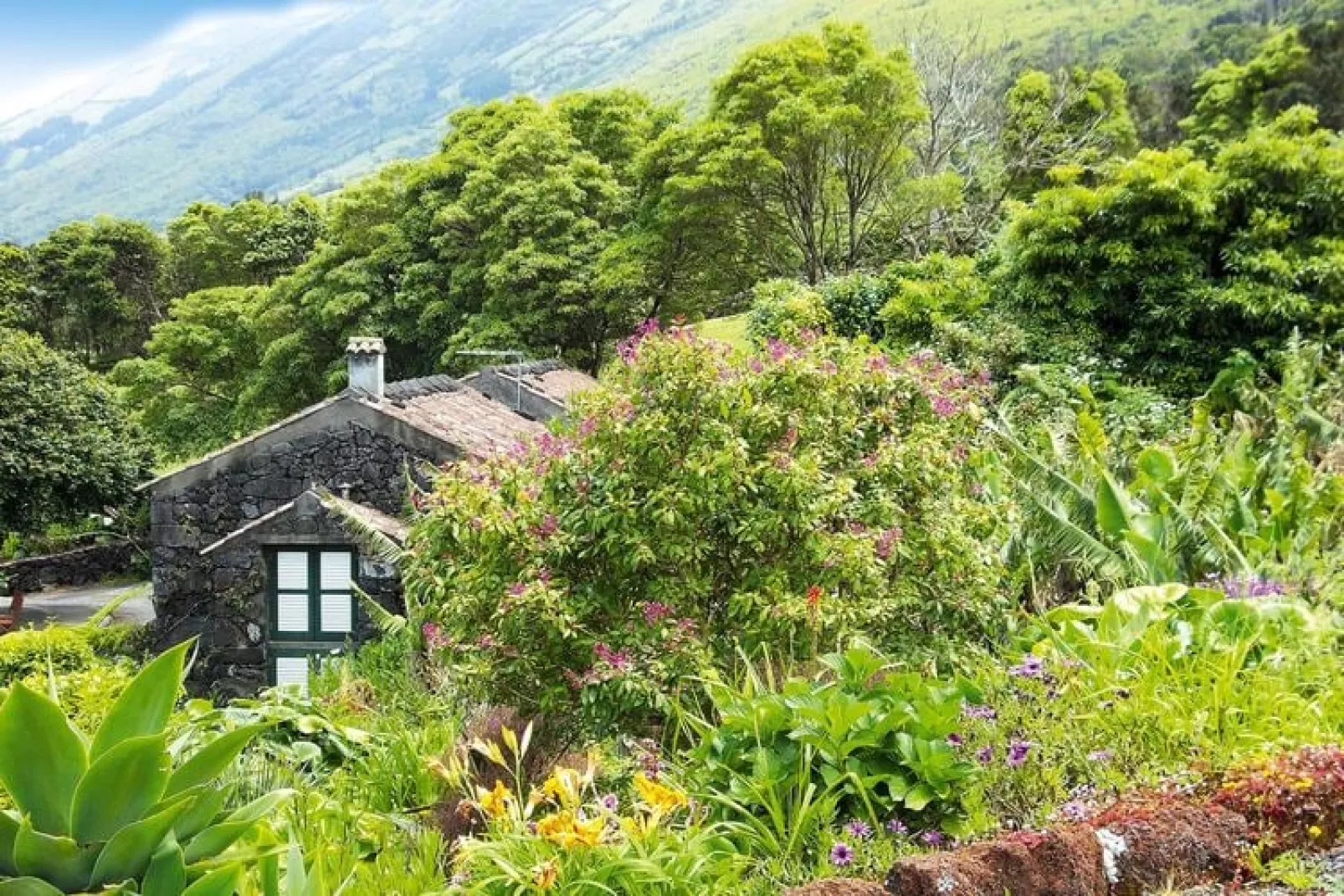 Ferienhäuser Adegas do Pico in Prainha / Adega T1 35-40m2-Gardens summer