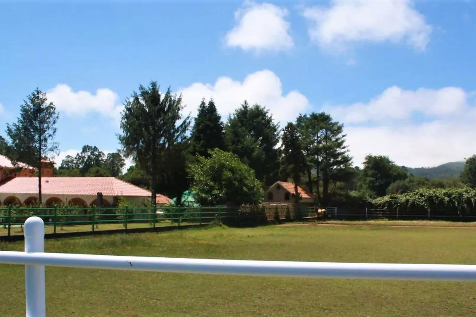 Hacienda Lugar de Sinde-Gardens summer