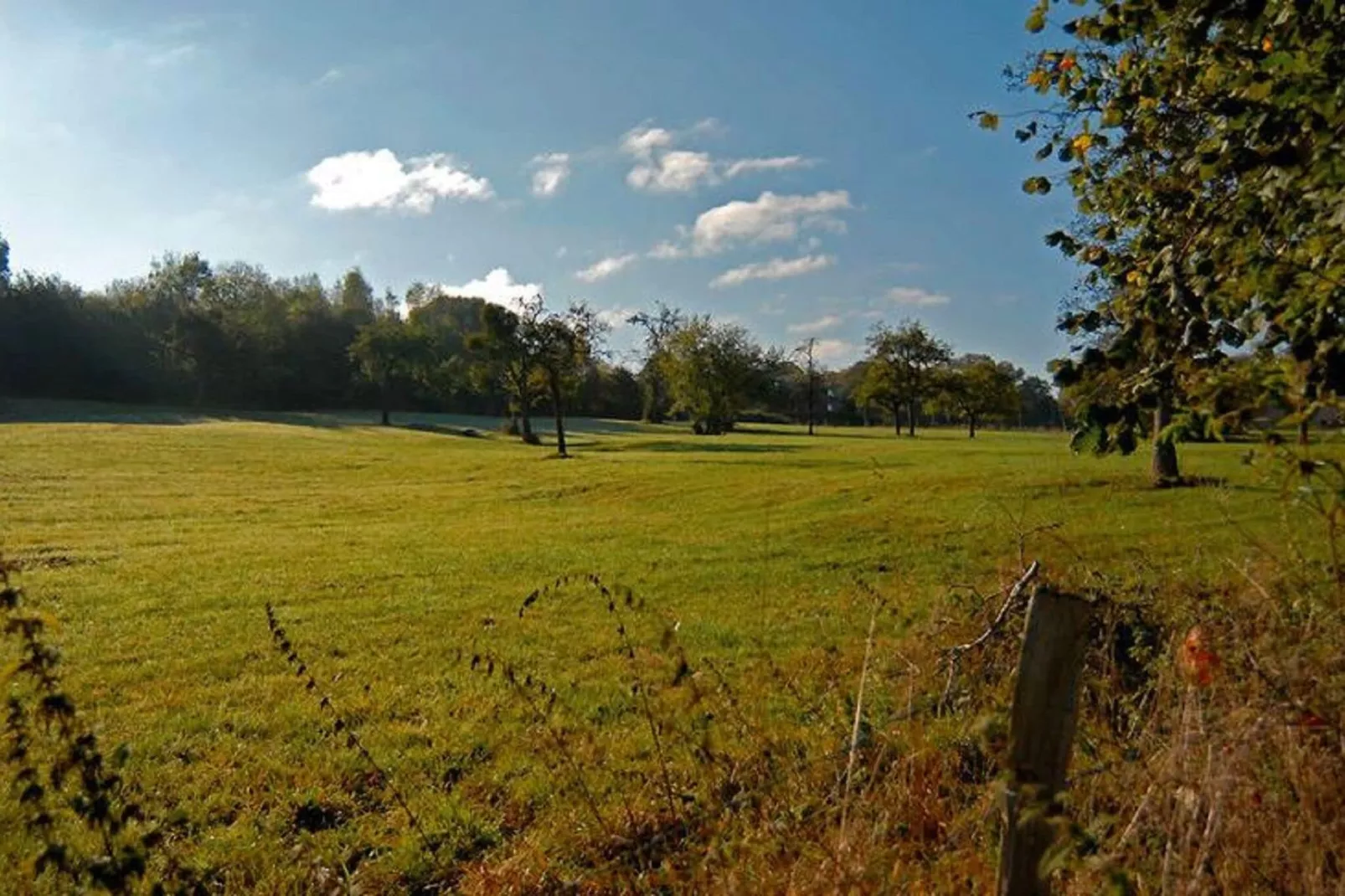 Le Prery-Areas summer 1km