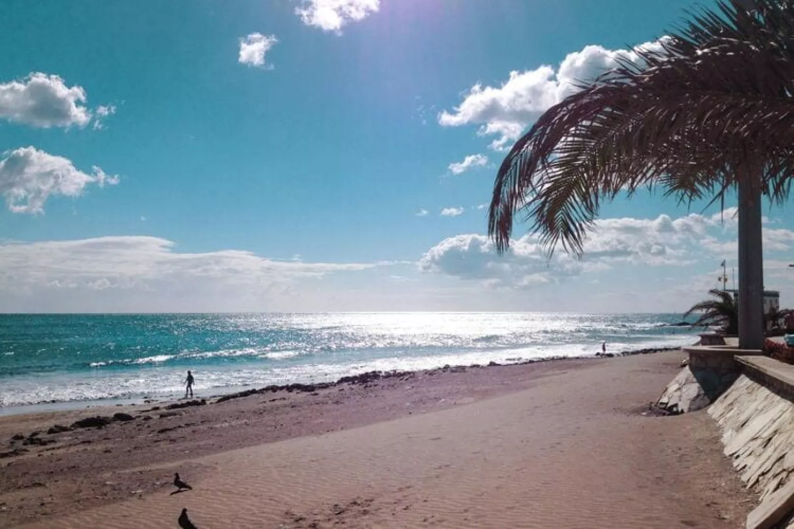 Apartamento de Playa Siesta 21 San Augustin - 2 Pax-Not tagged