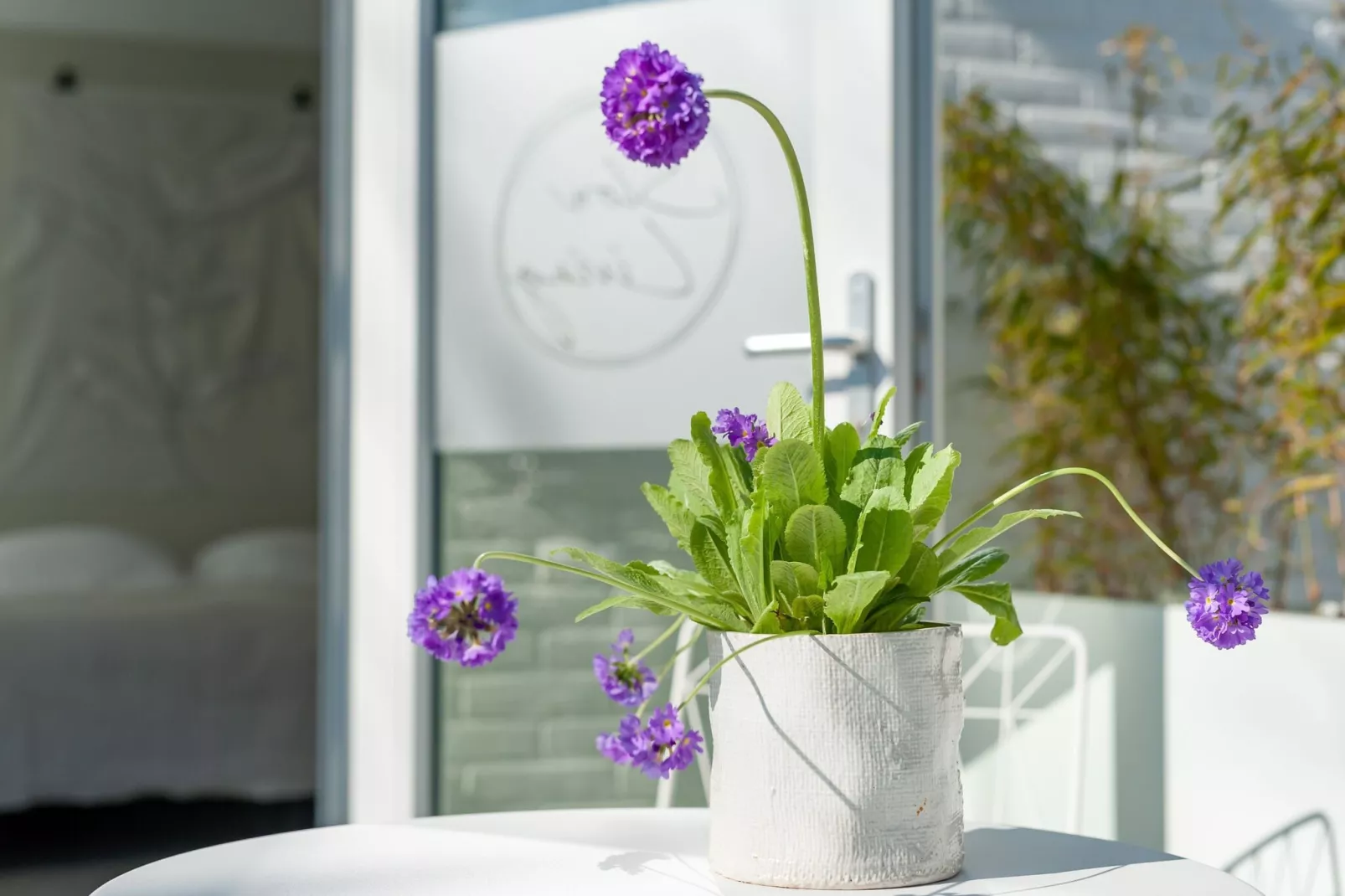 Slow living Suite 2 Oostkapelle-Ambiente