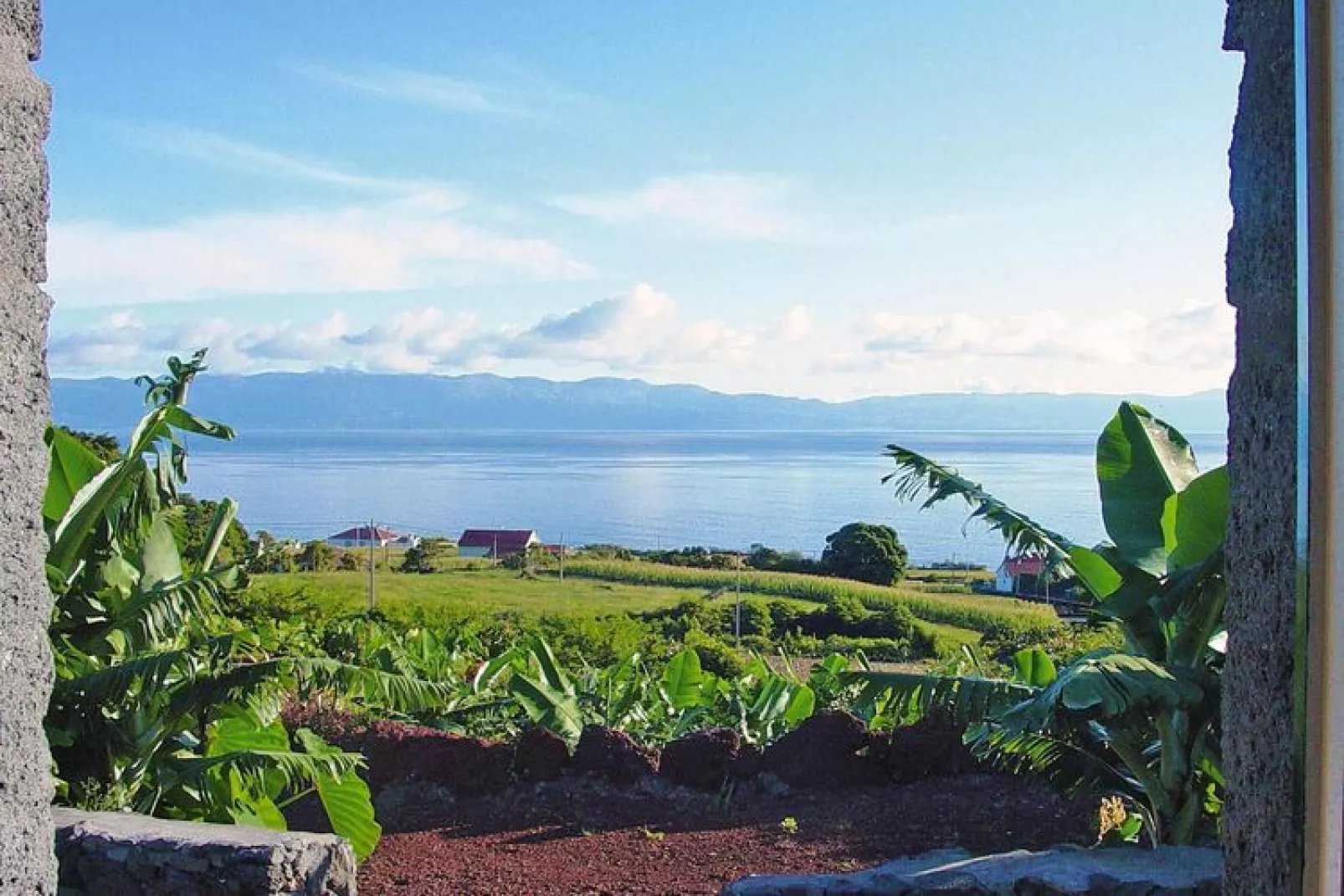 Ferienhäuser Adegas do Pico in Prainha // Adega T2 / 70-90m2 / vineyard or countryside-Gardens summer