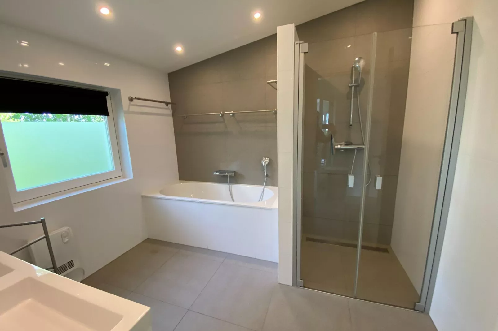 Waterhoenlaan 8-Bathroom