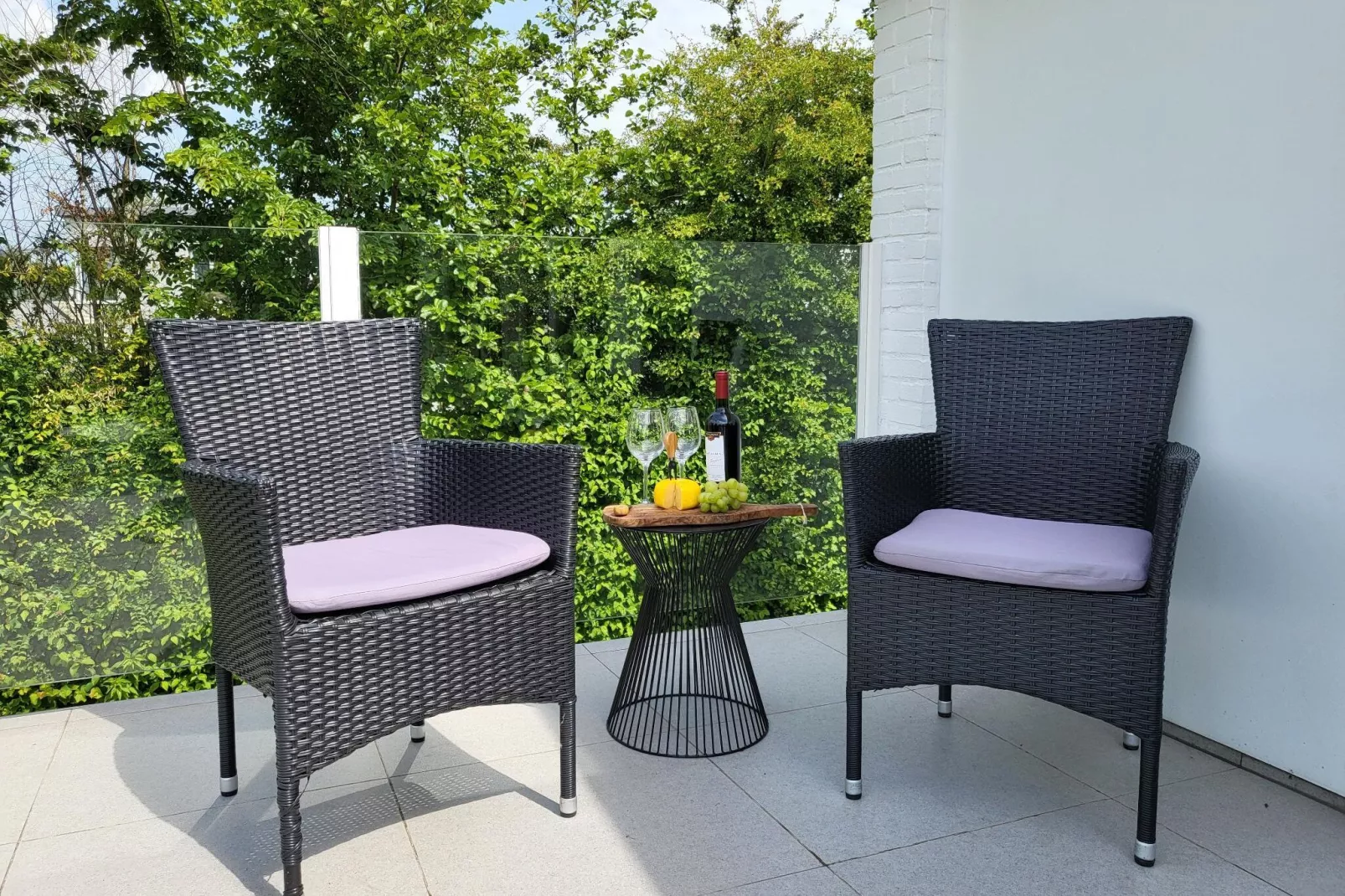 Waterhoenlaan 8-Terrace balcony