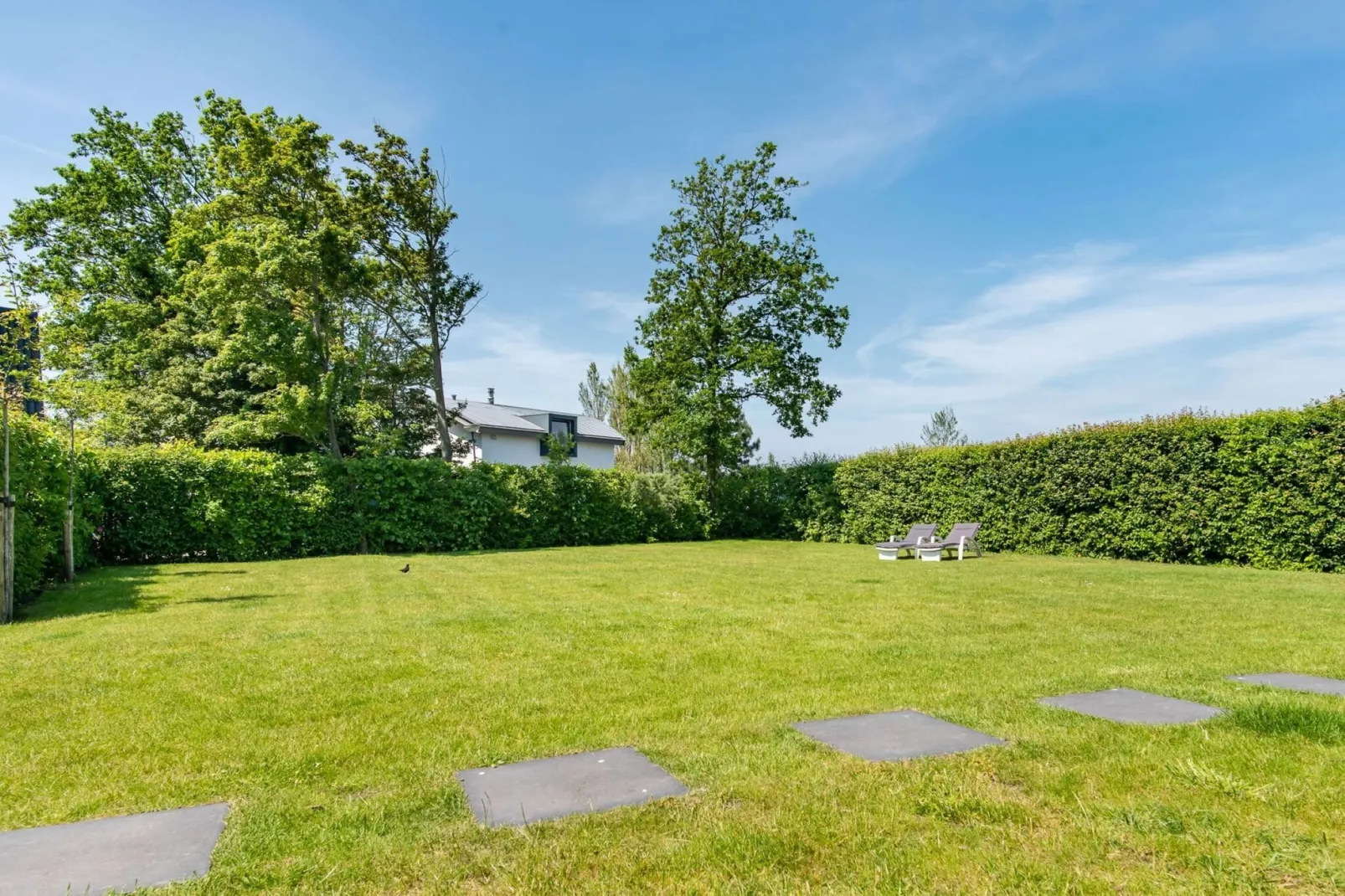 Waterhoenlaan 8-Gardens summer